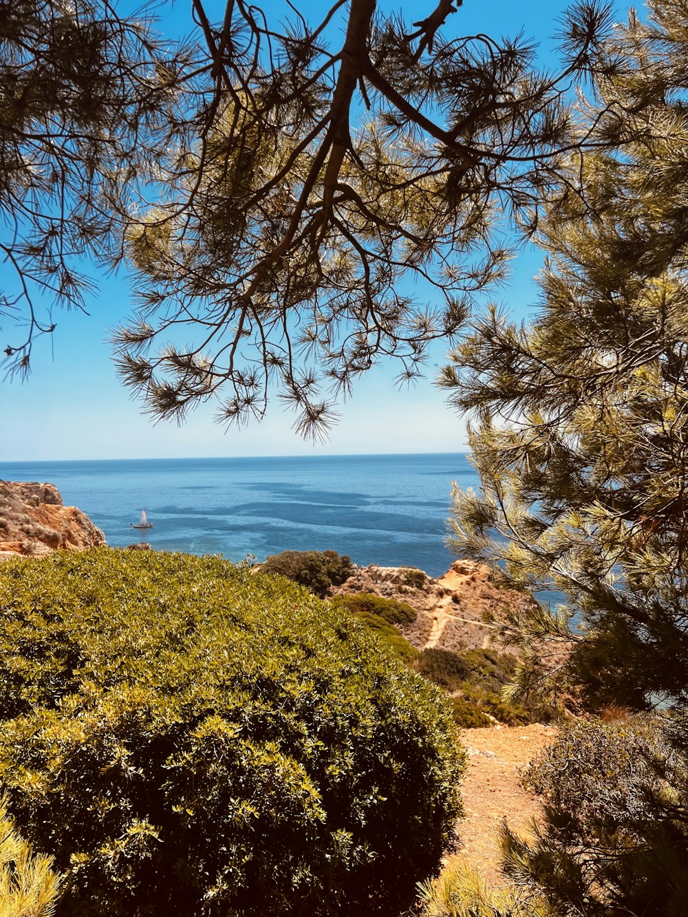 a view of a body of water through some trees