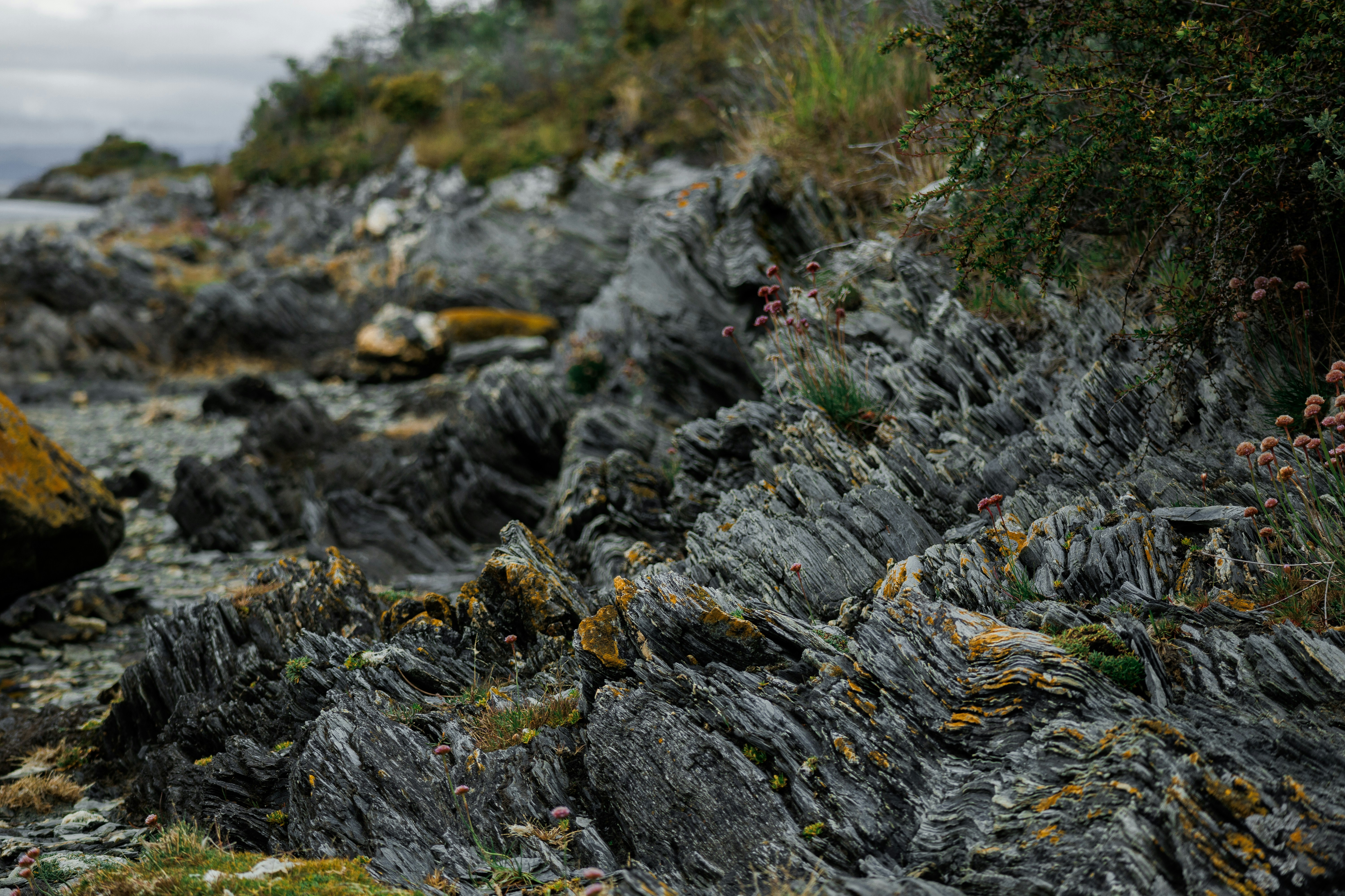 Photo by caioportela