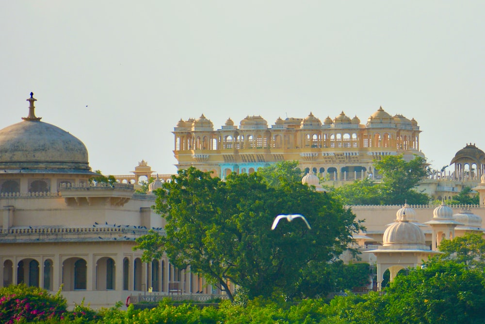 a view of a building with a white bird flying in front of it