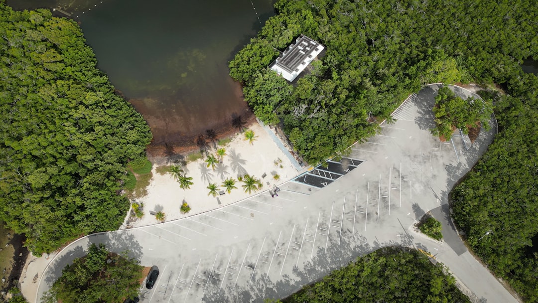 an aerial view of a walkway surrounded by trees,