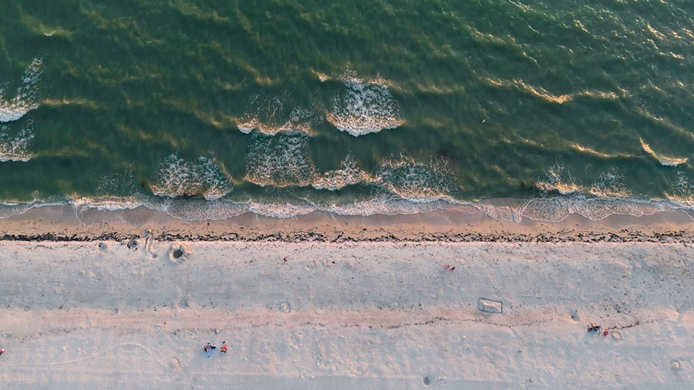 an aerial view of a beach and ocean