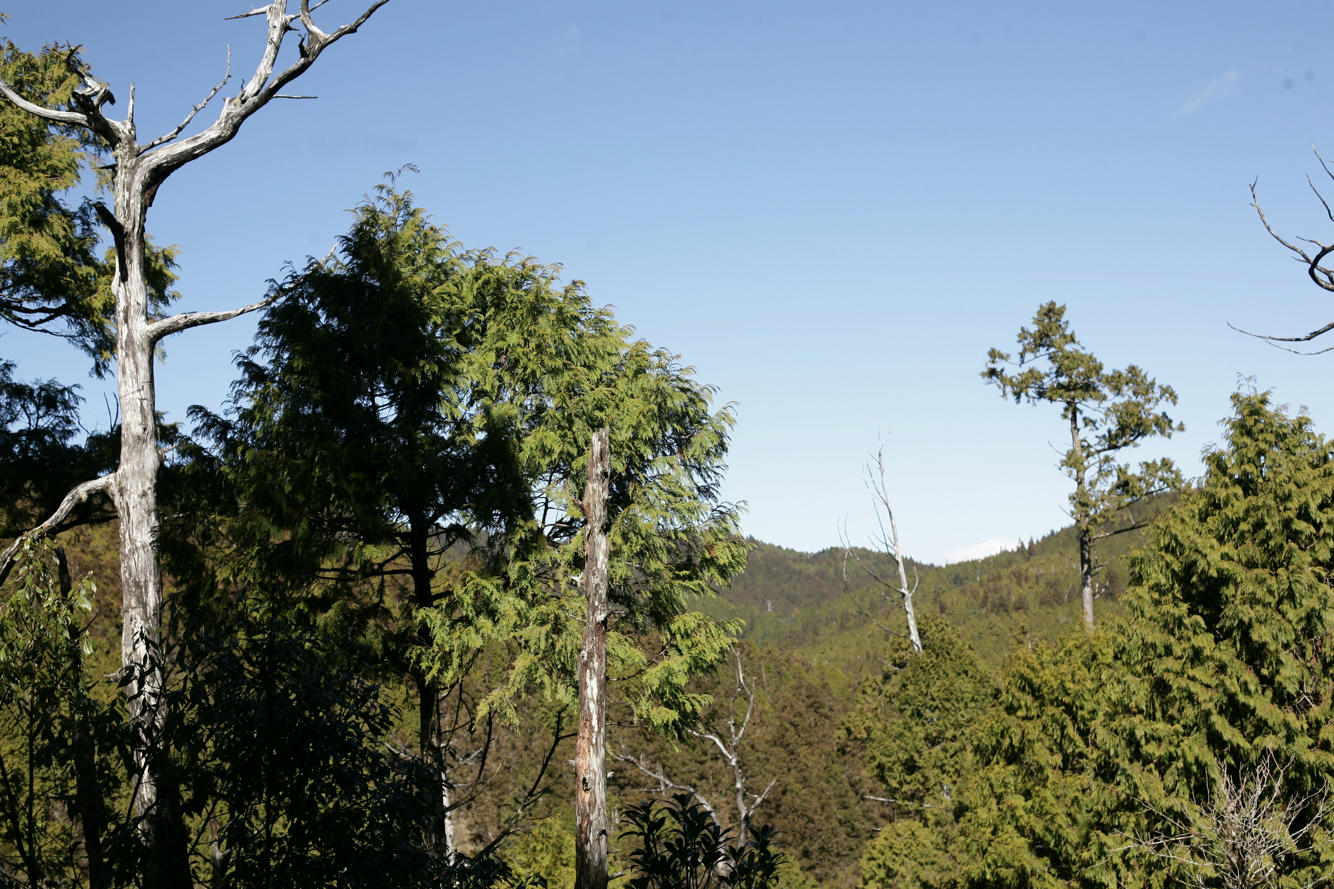 Northern Heights East Park