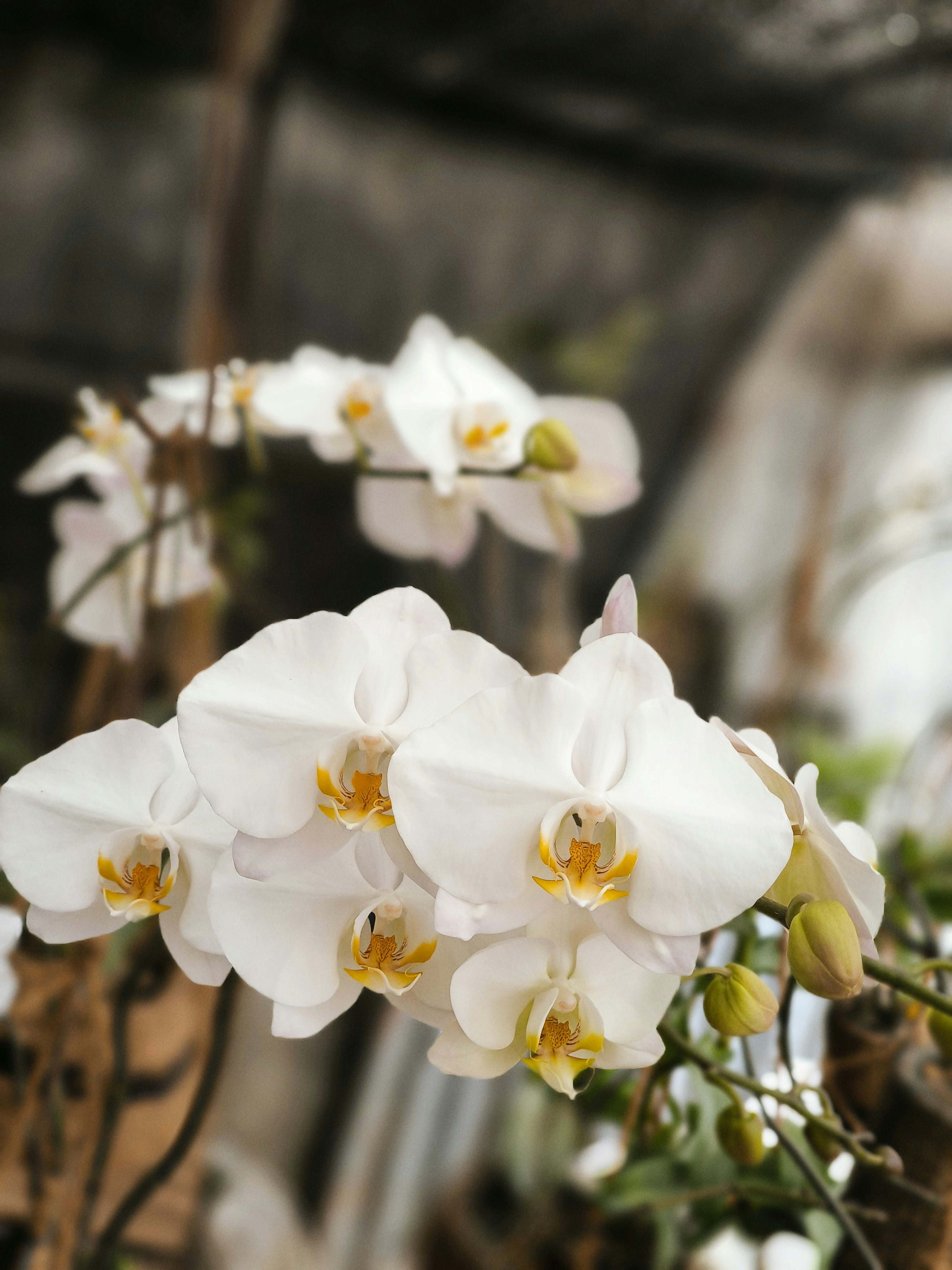 Photo by ajirizky066