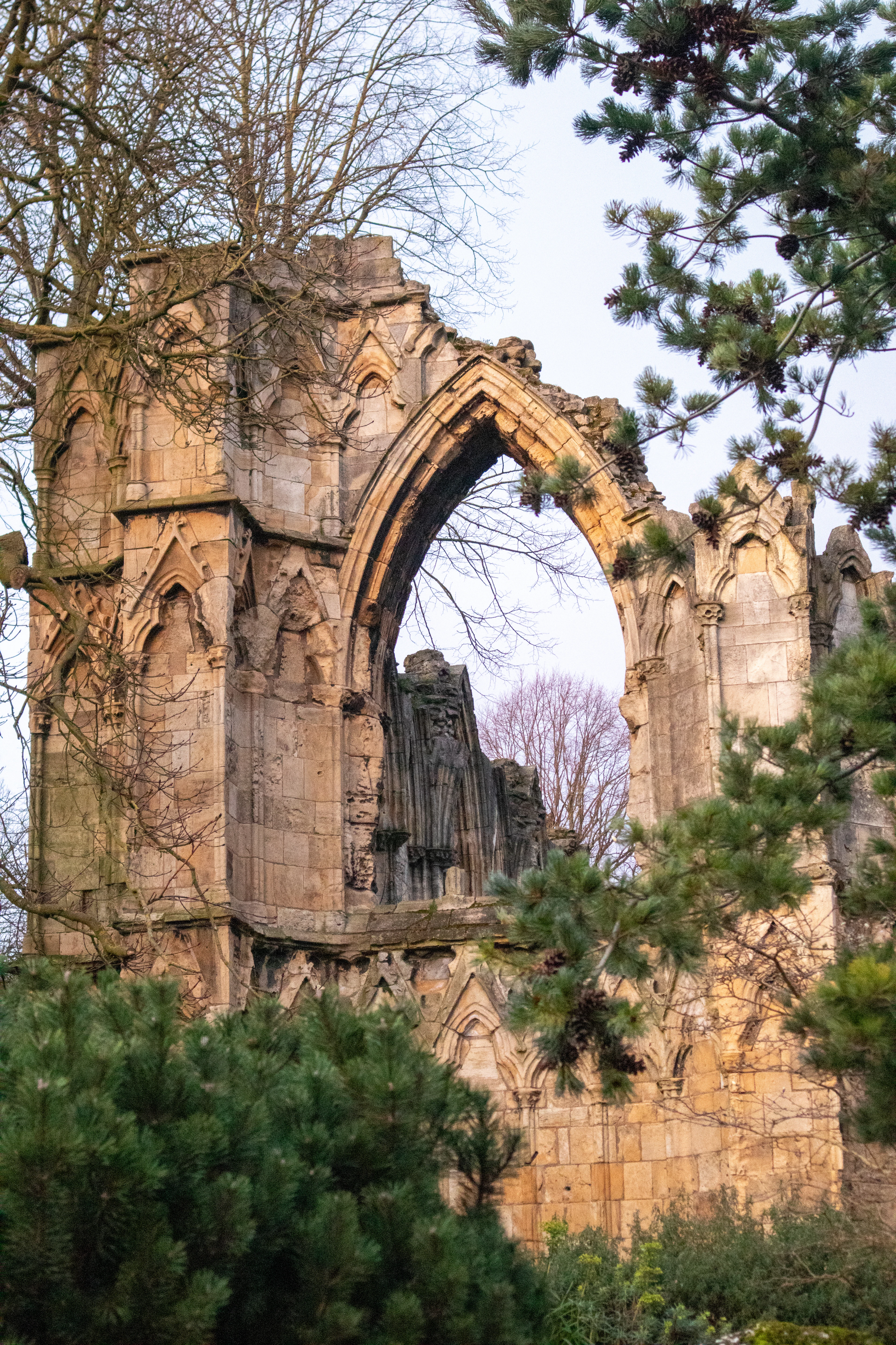 The ruined gothic arch of St Mary's Abbey in York's Museum Gardens, its carved stone catching late sun through bare branches and pine boughs.