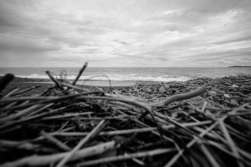 Una foto en blanco y negro de una playa