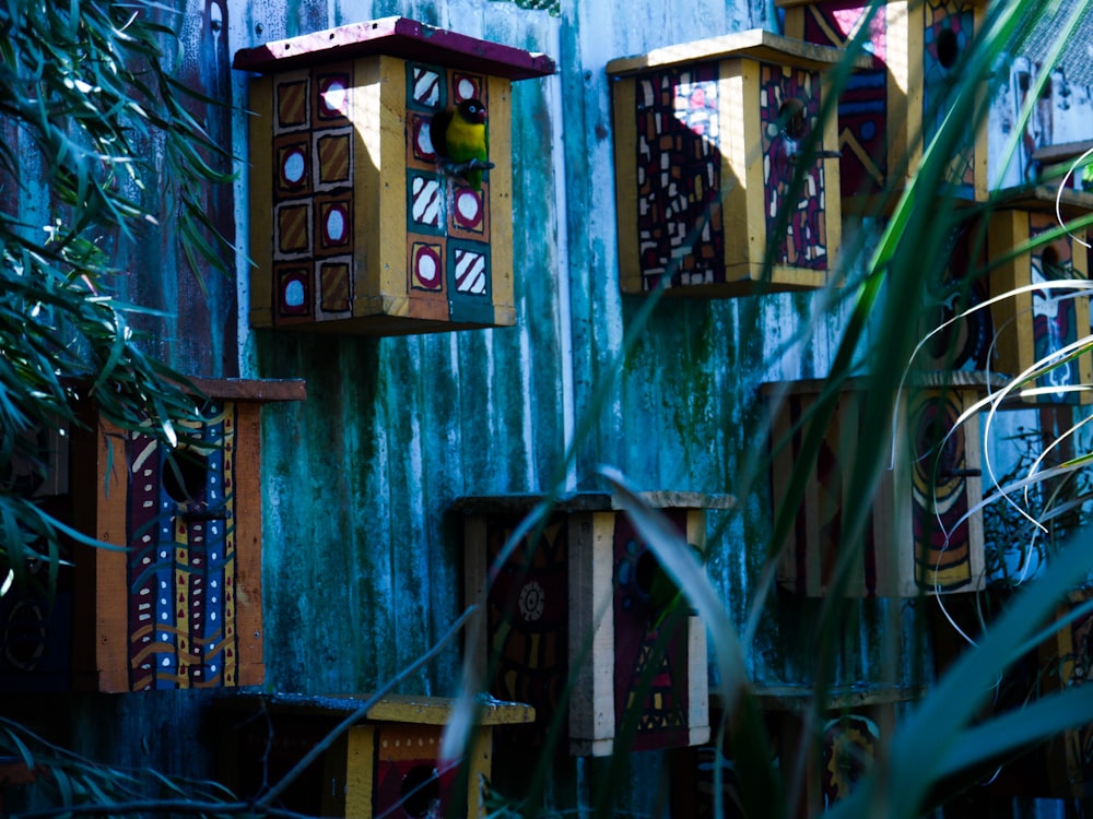 a bunch of bird houses hanging on a wall