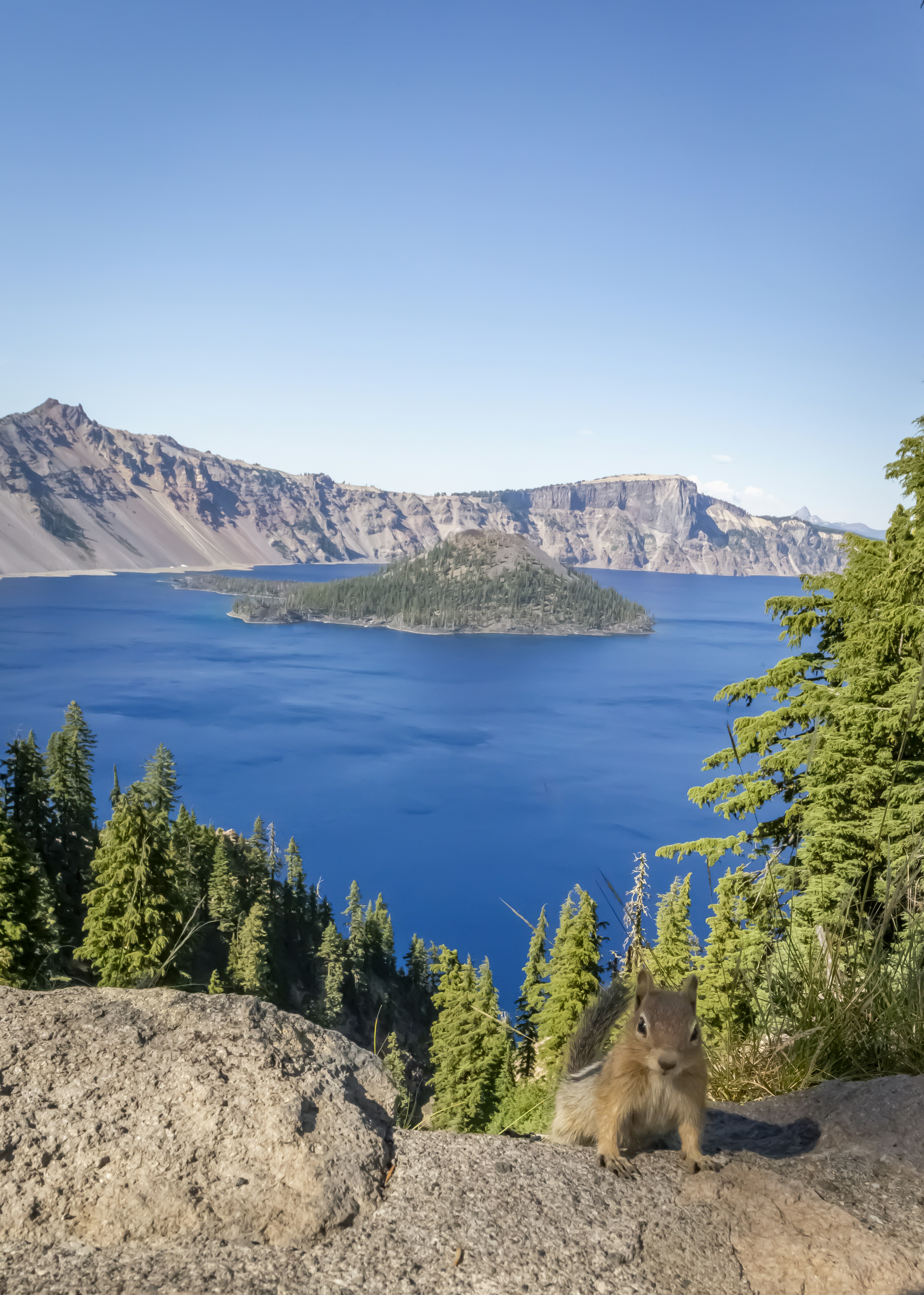 A small animal sitting on top of a large rock photo Free Crater lake
