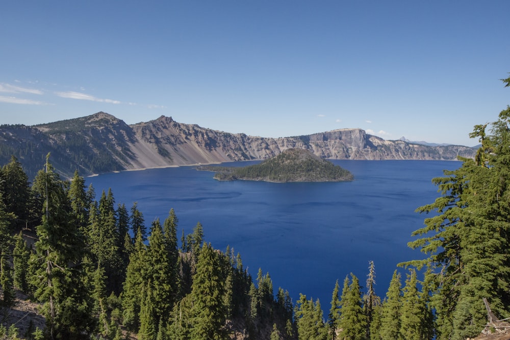 a large body of water surrounded by trees