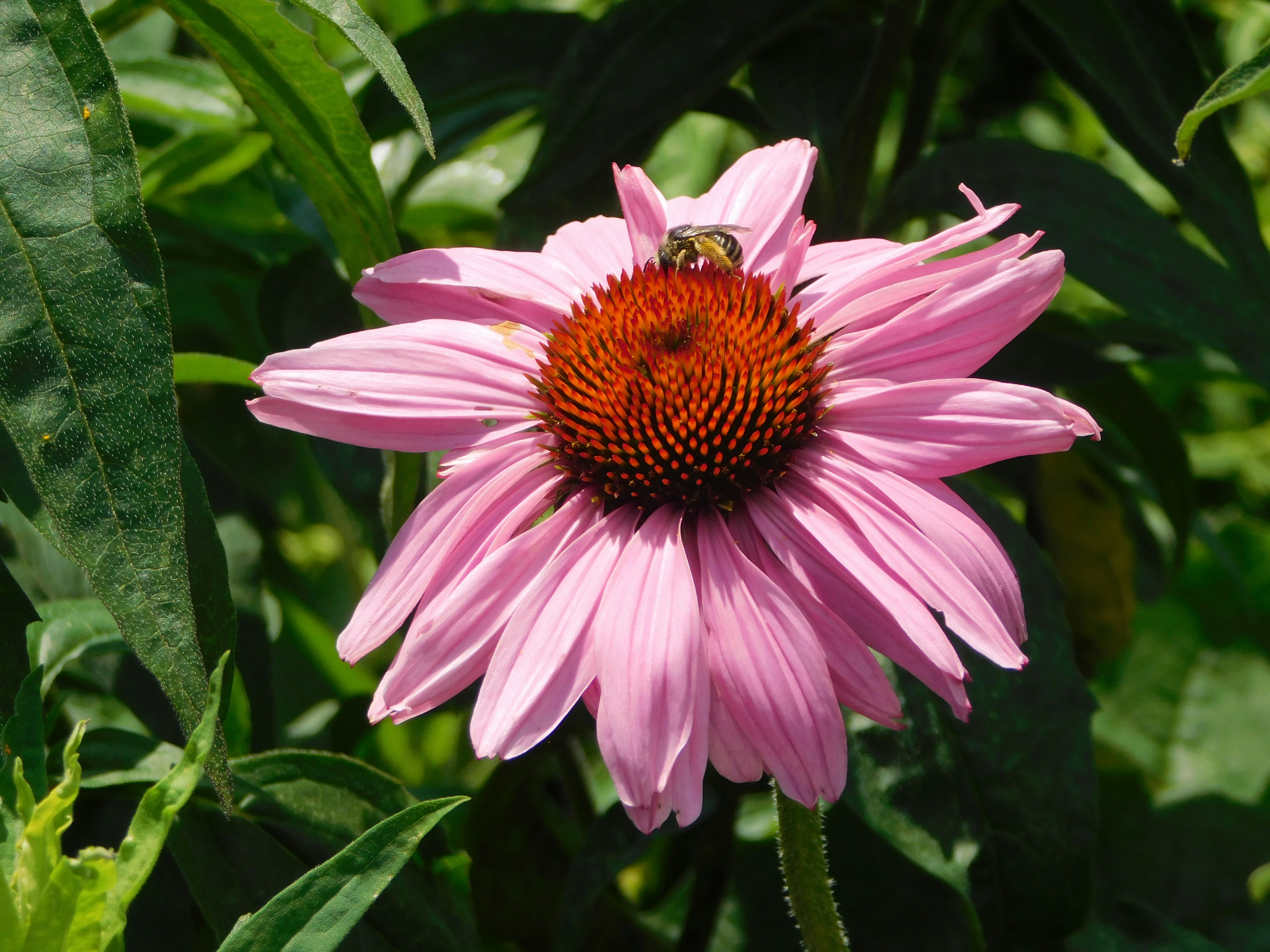 Photo by makeebahcelestine