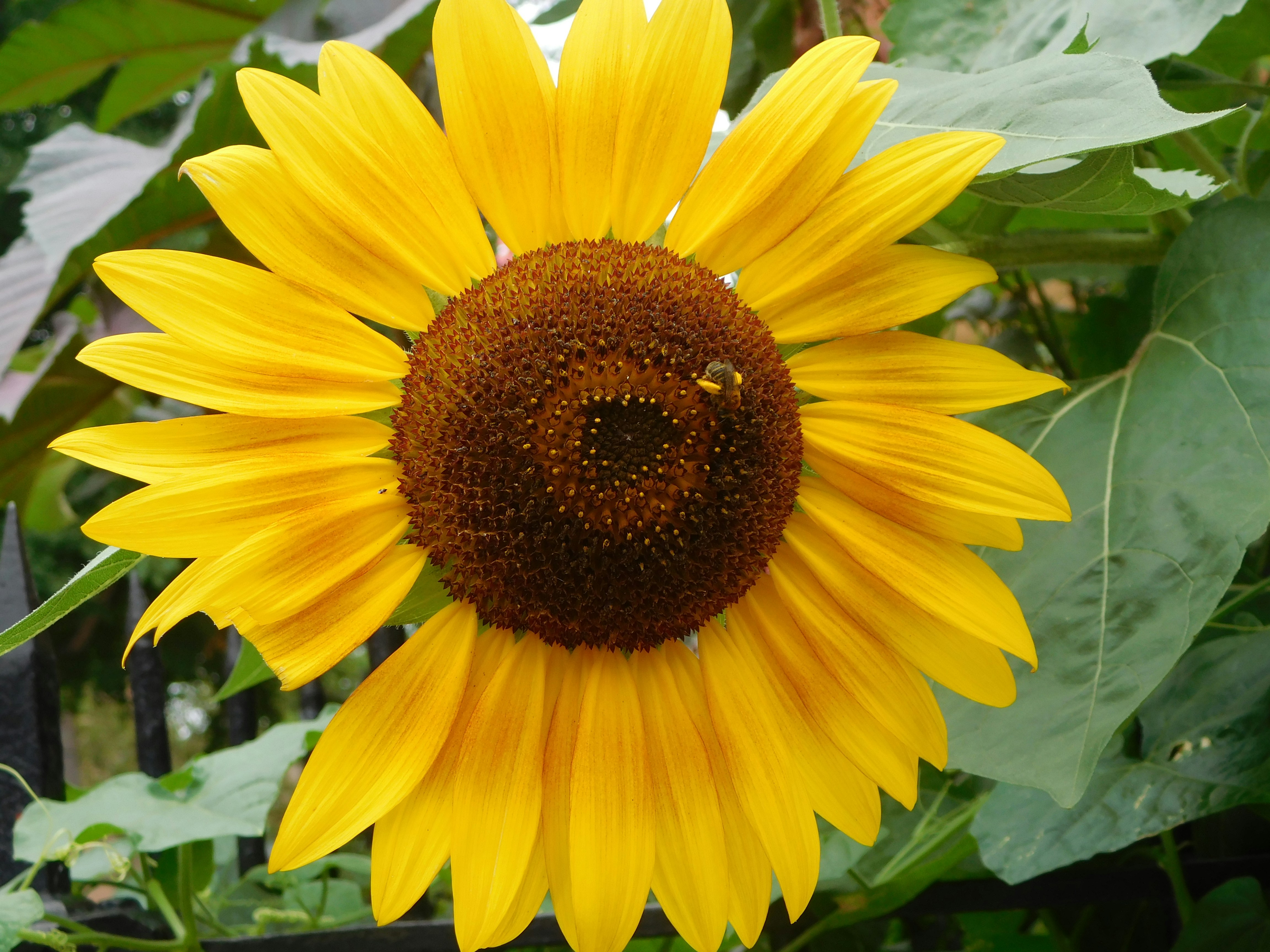 Photo by makeebahcelestine