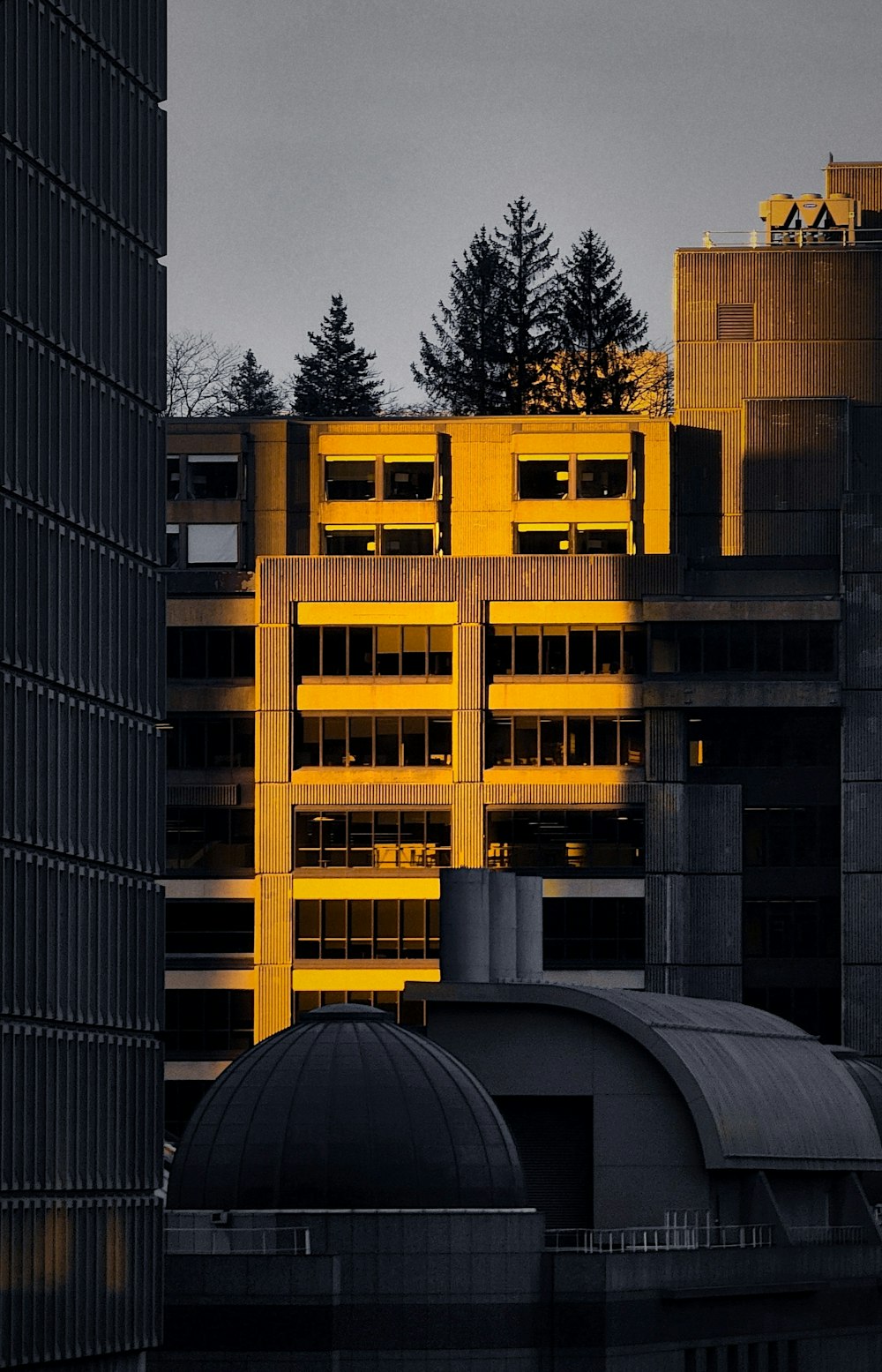 a large building with a lot of windows next to a forest