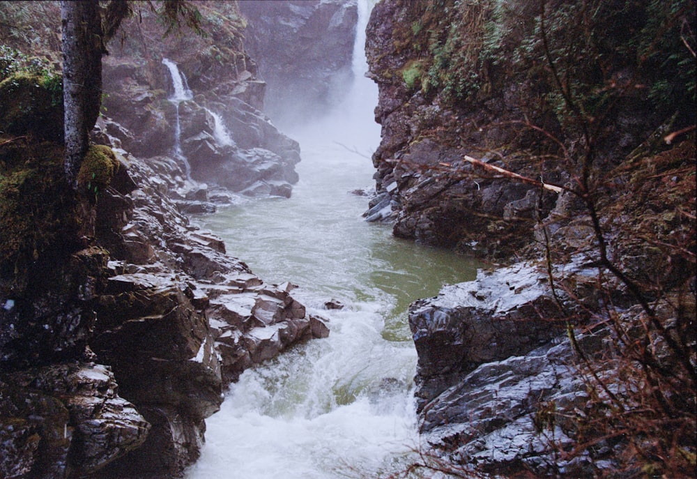 a waterfall in the middle of a forest