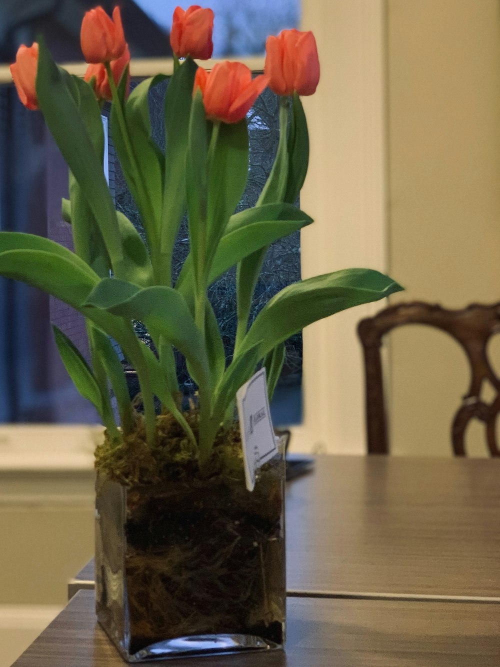 a vase filled with orange flowers on top of a wooden table