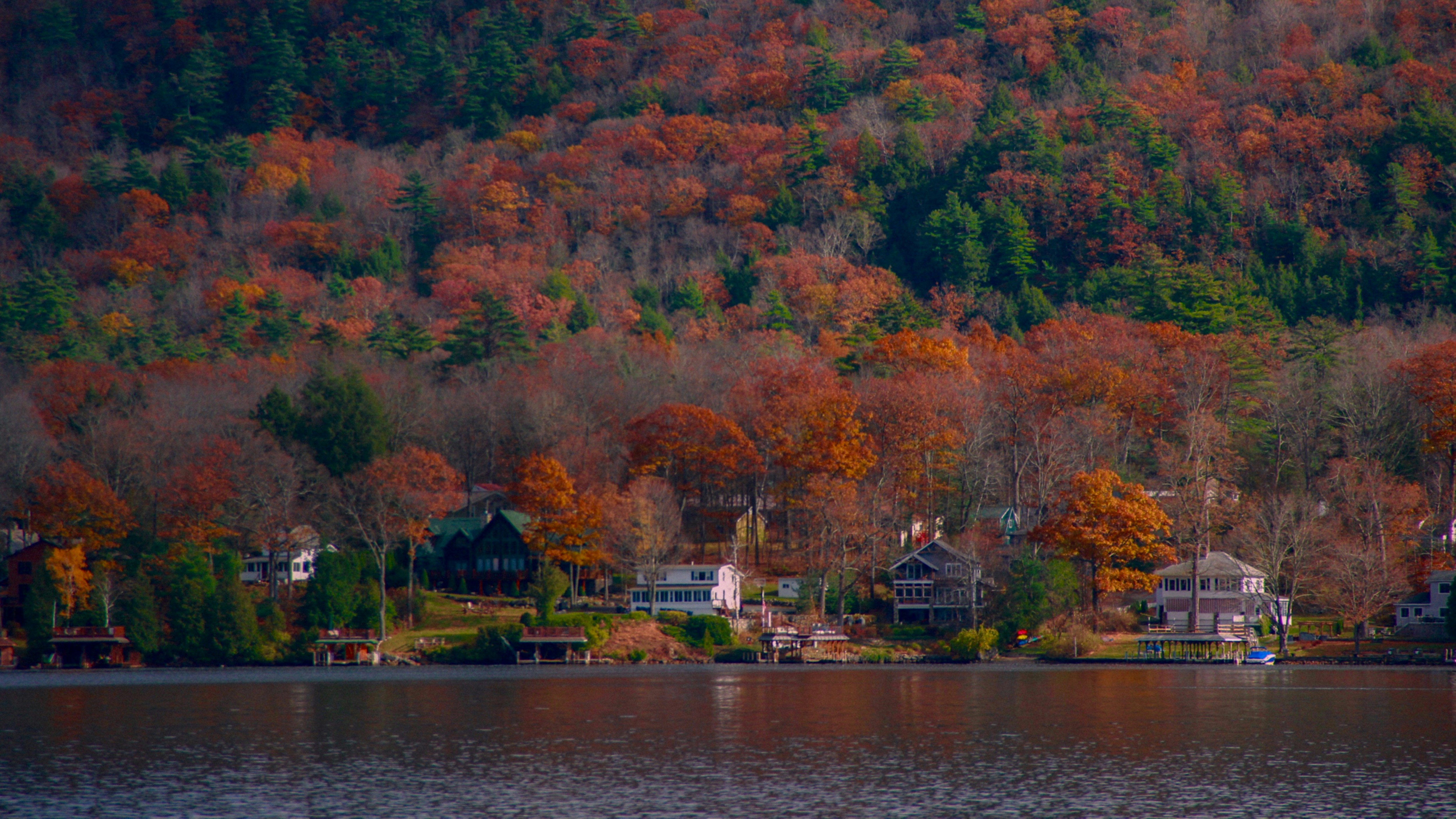 Photo by graceboburka