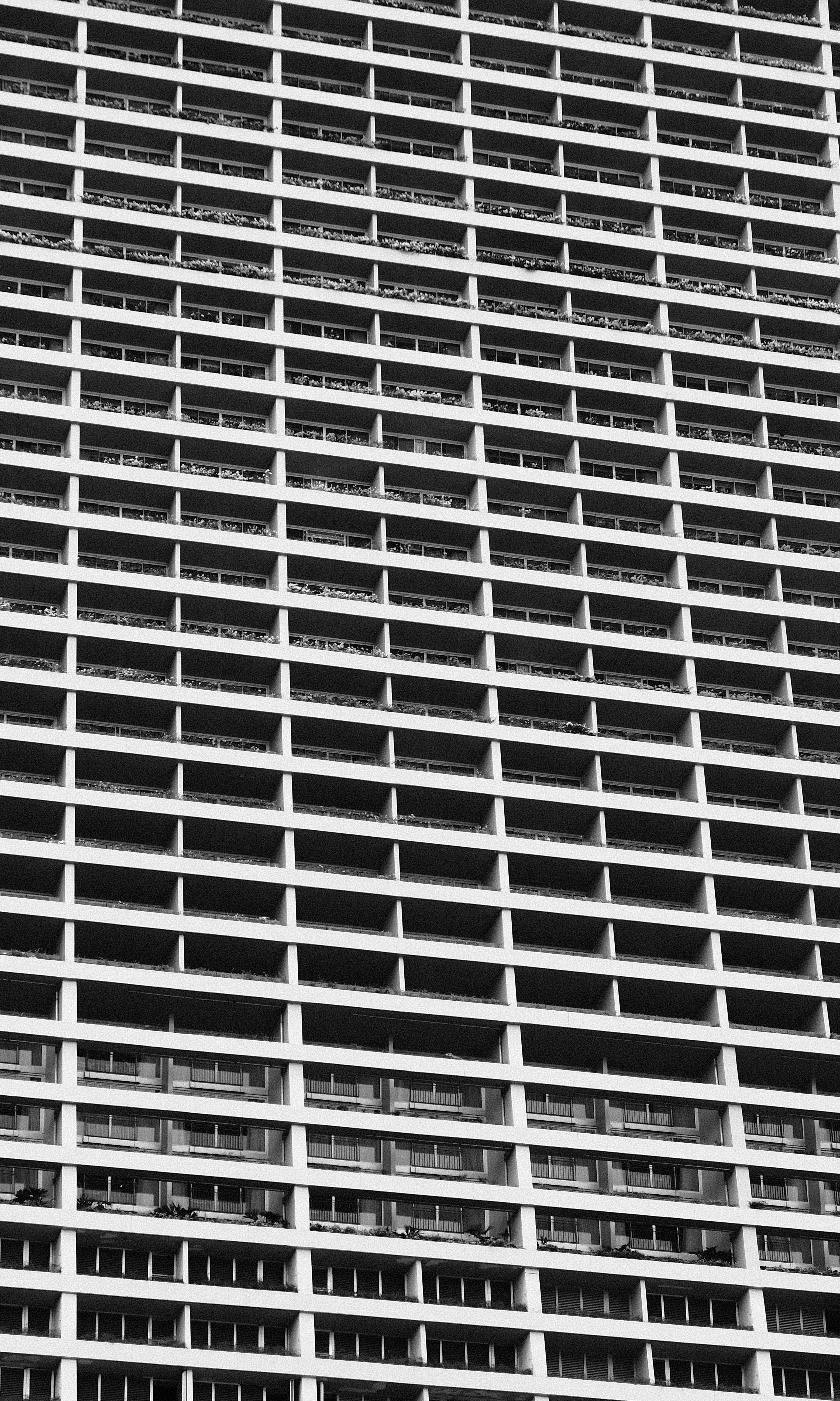 Photo by mounishraja