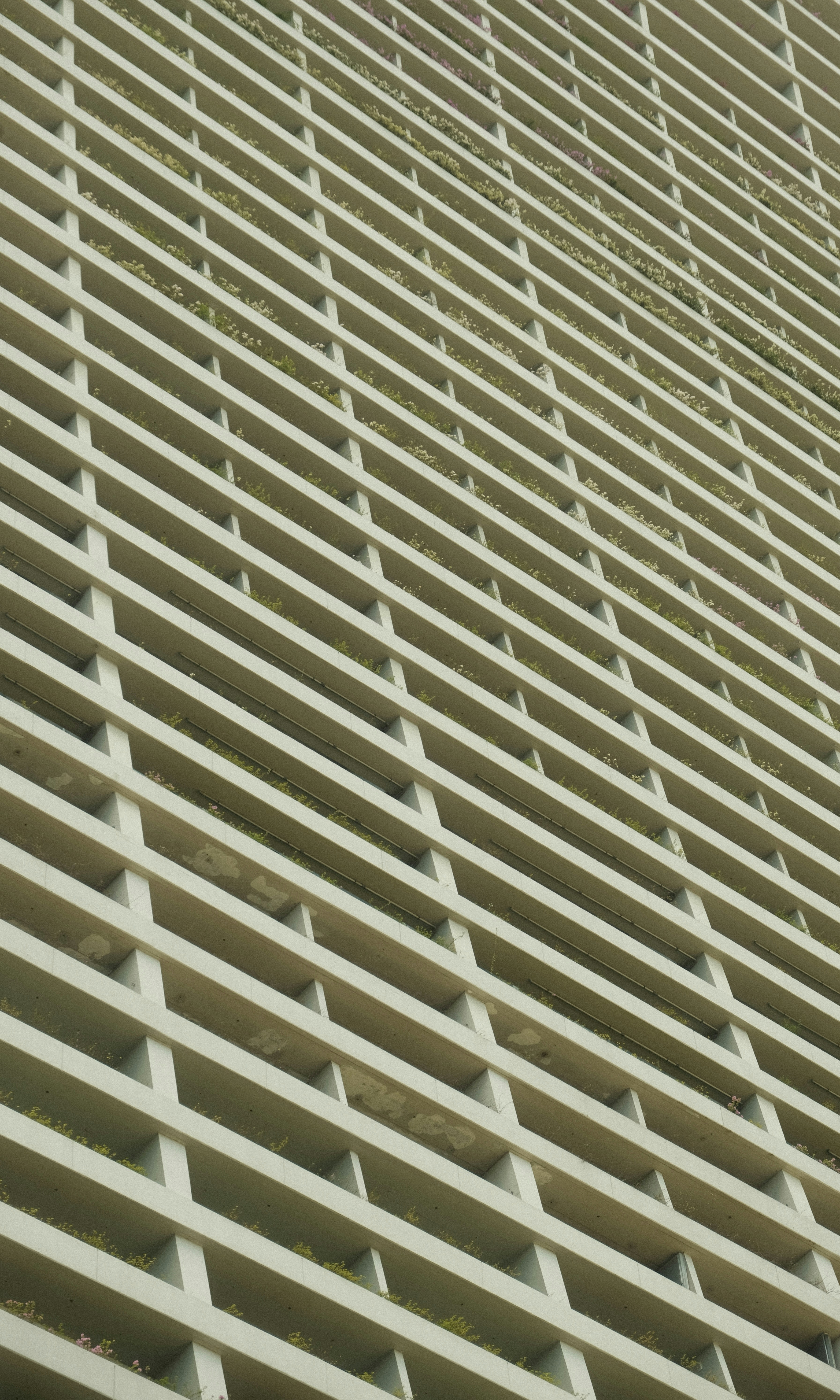 Photo by mounishraja