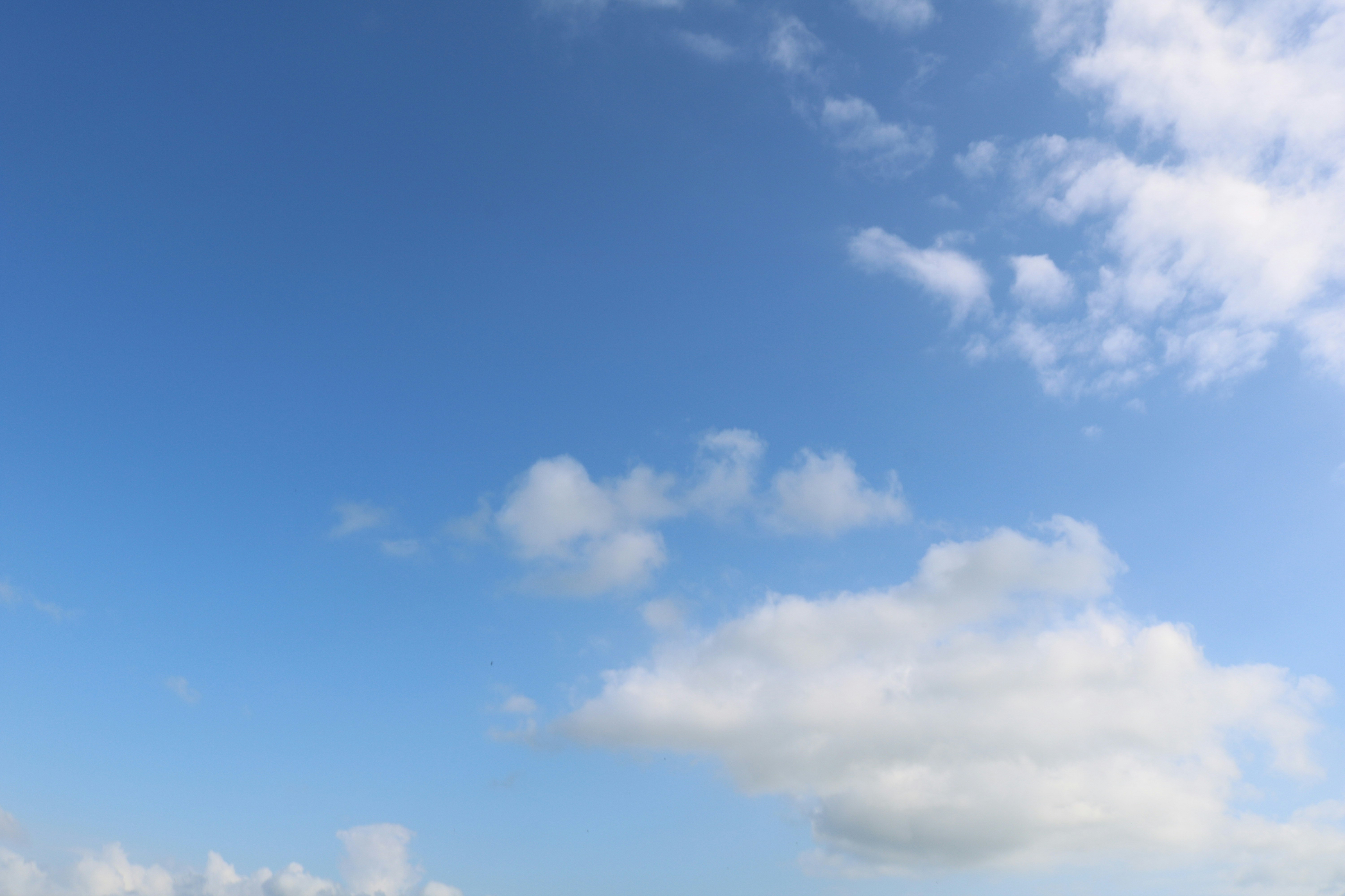 Photo by uyennguyen2401