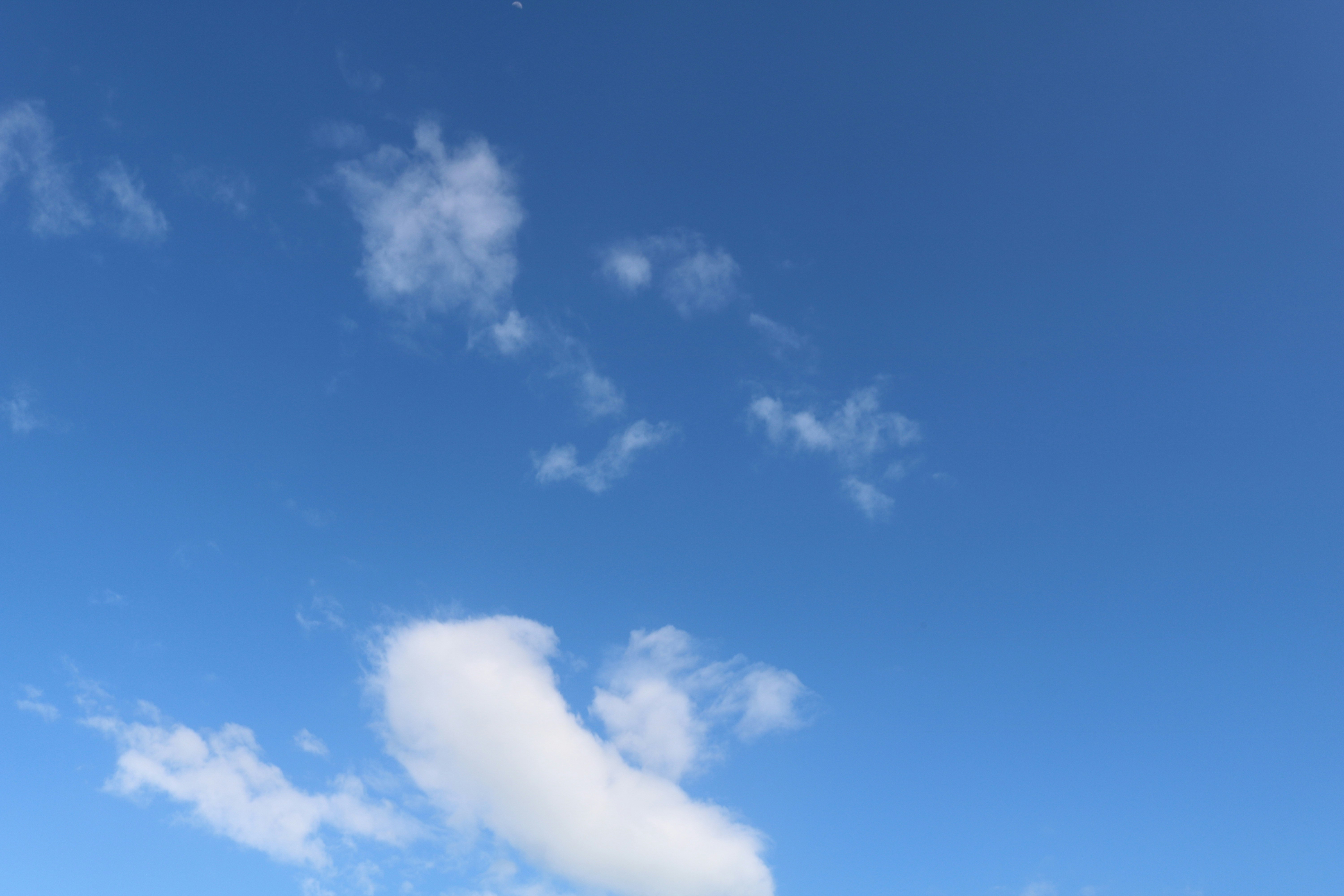 Photo by uyennguyen2401