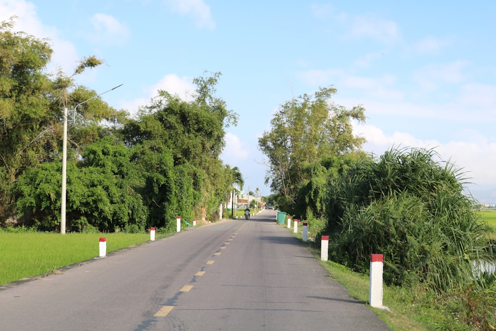 a street with trees and grass on both sides