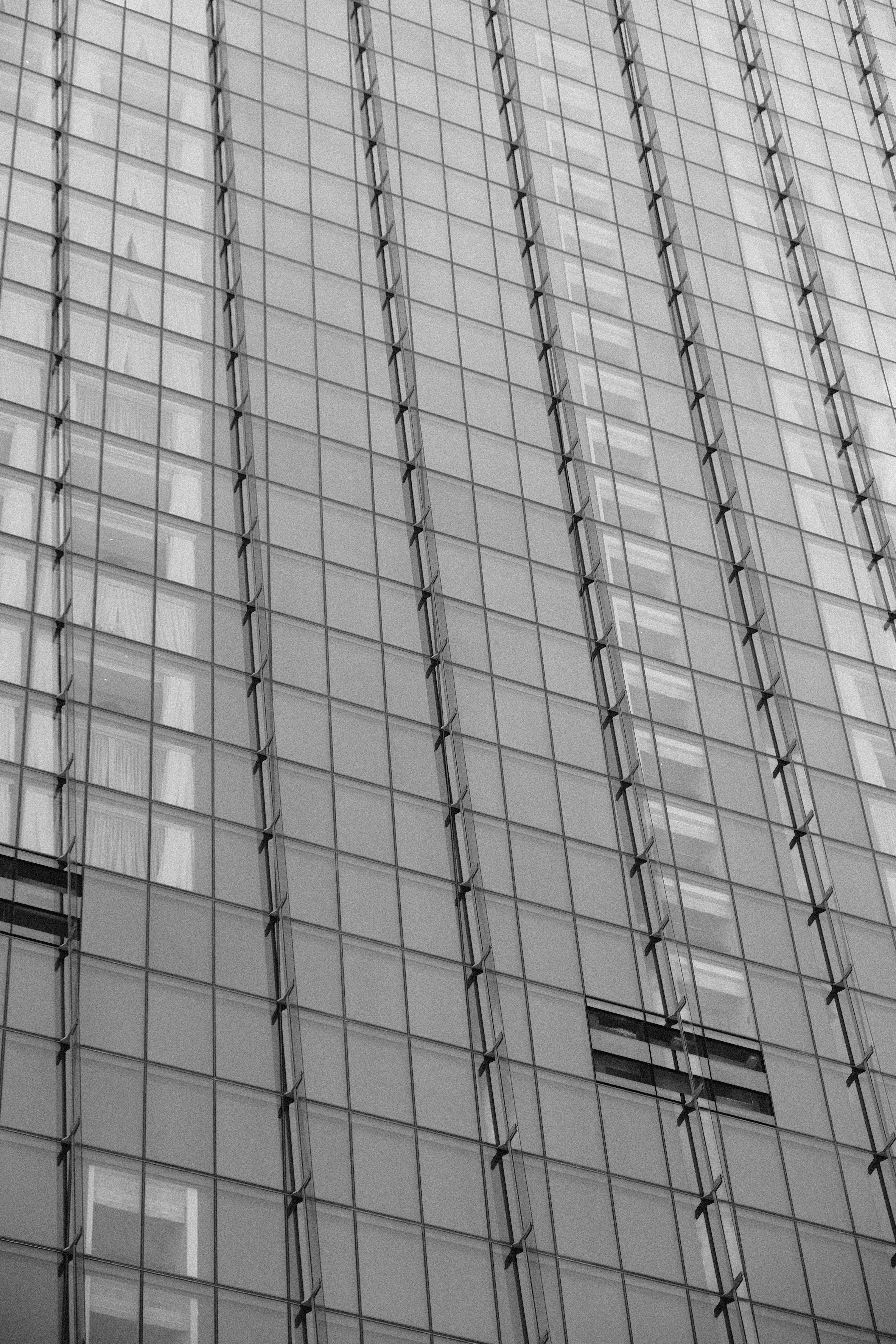 Photo by mounishraja