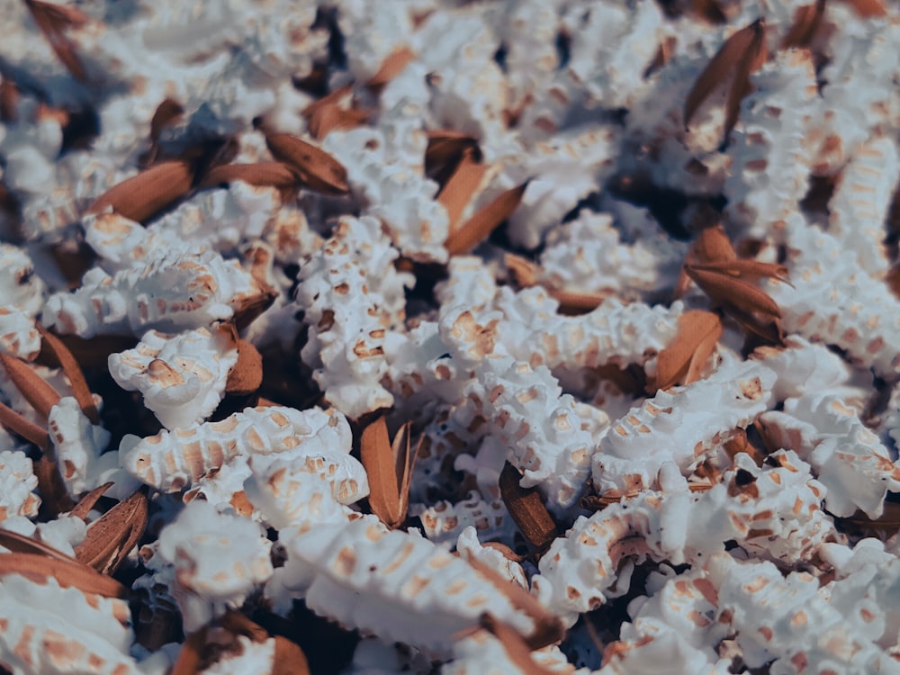 a pile of white and brown popcorn with nuts