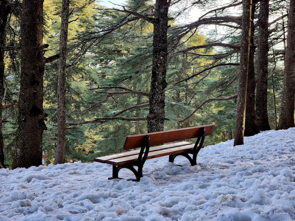 a wooden bench sitting in the middle of a snow covered forest