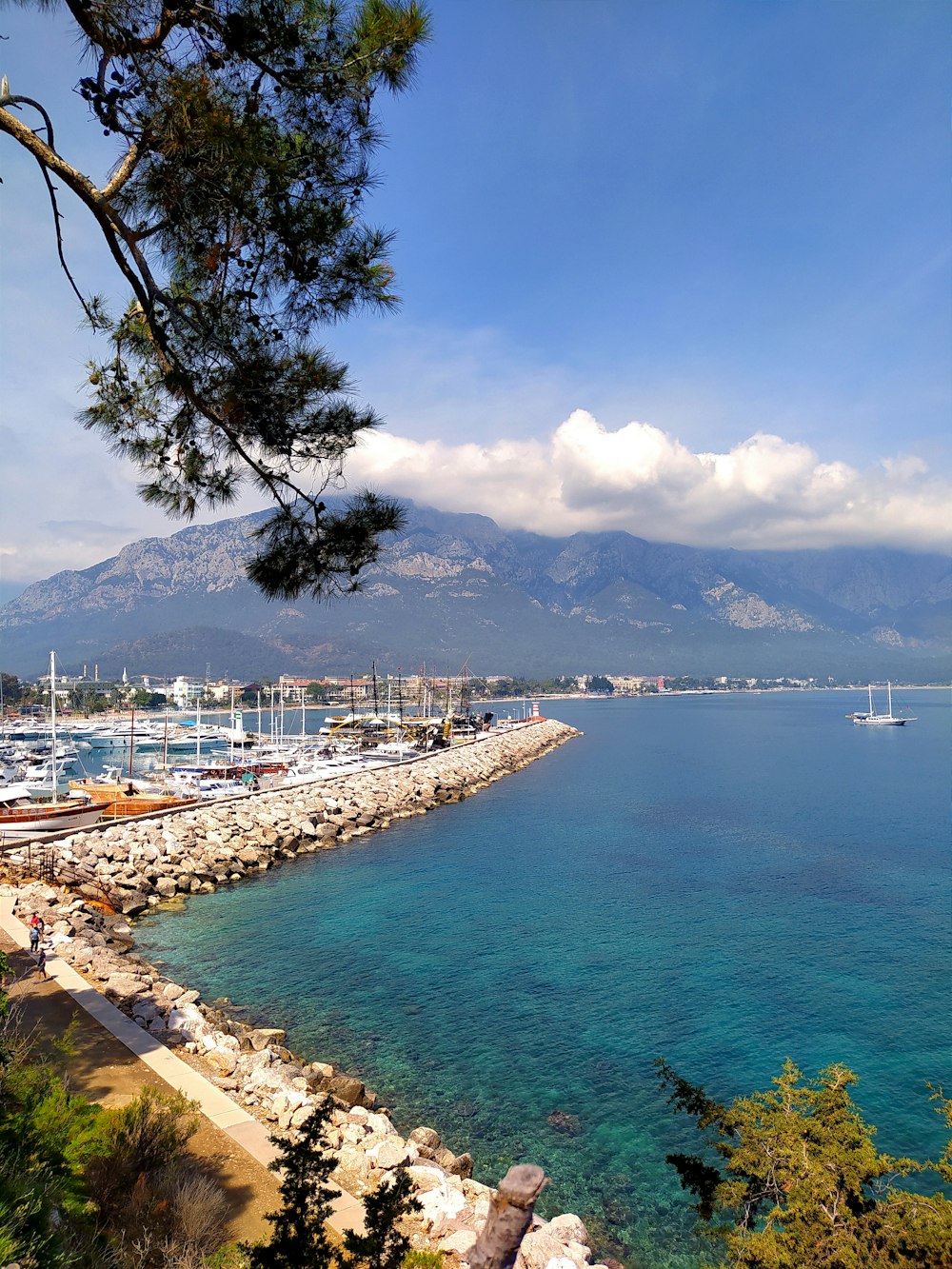 a view of a marina with boats and mountains in the background