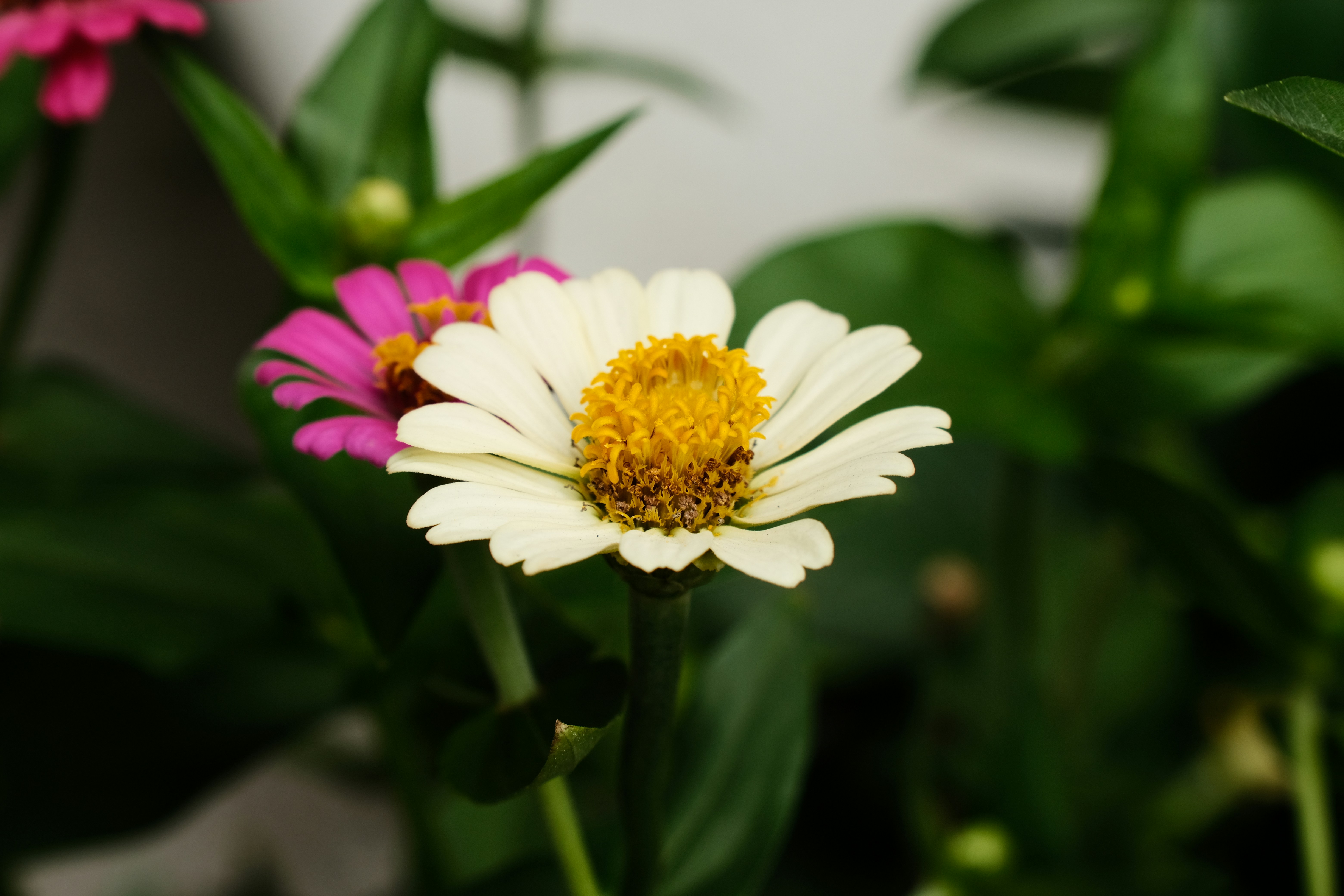 Photo by duke91