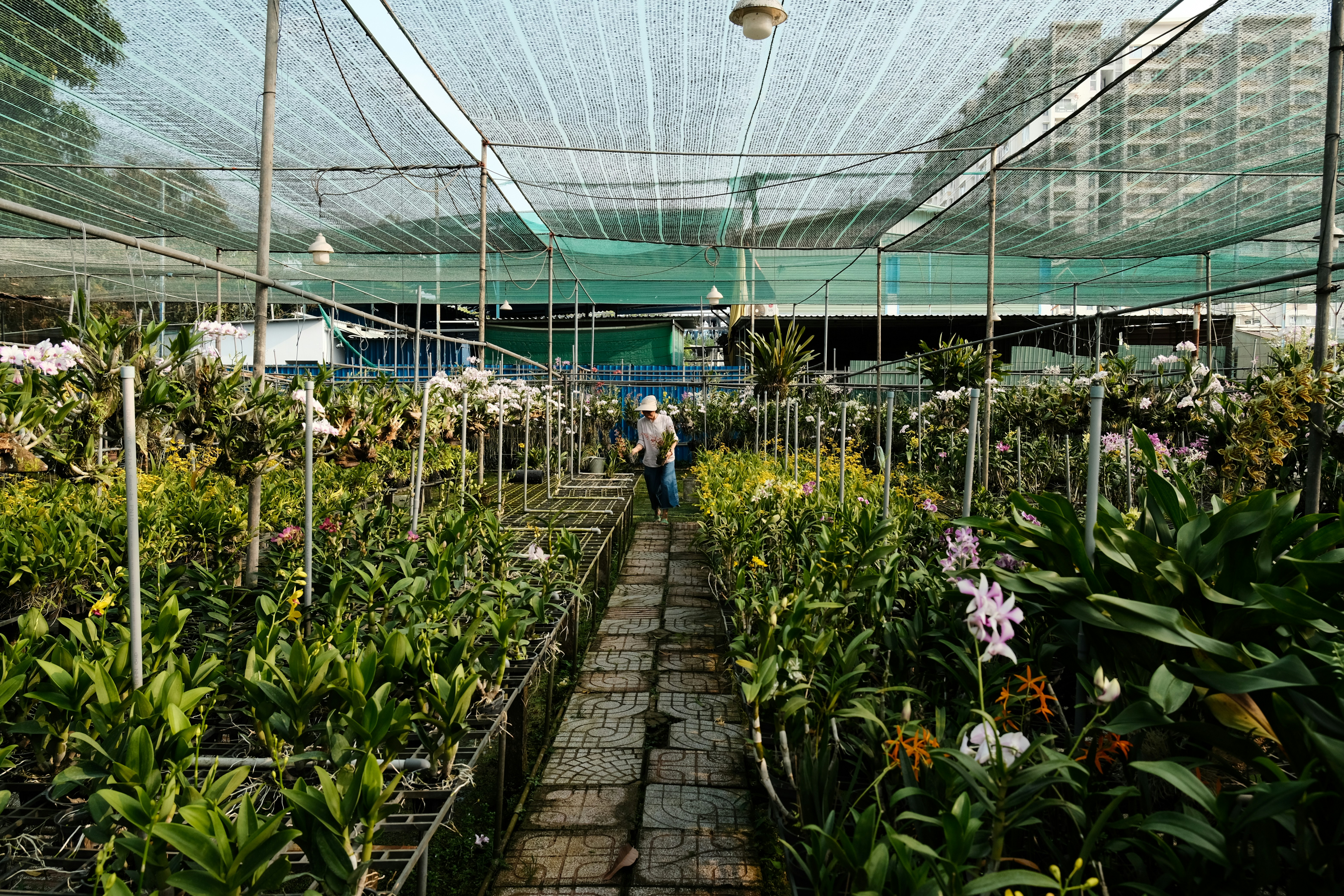 People in greenhouse with plants