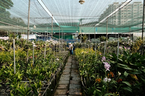 a group of people standing in a greenhouse filled with lots of plants