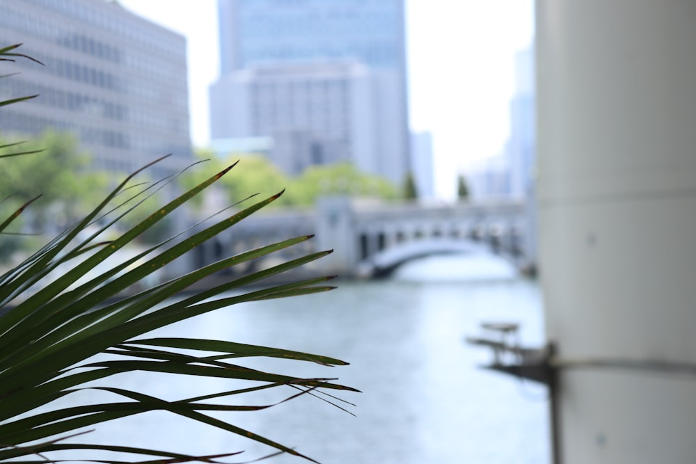 a view of a river with a bridge in the background