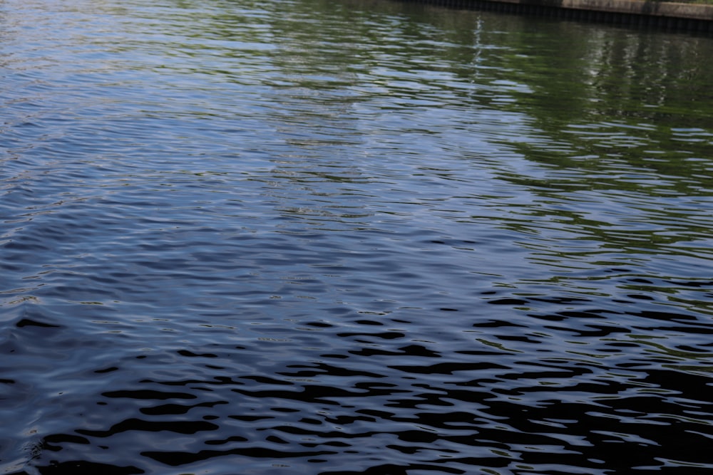 a boat floating down a river next to a bridge