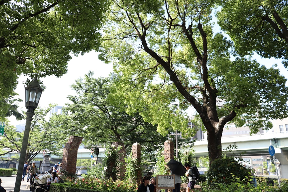 a group of people sitting on a bench under trees