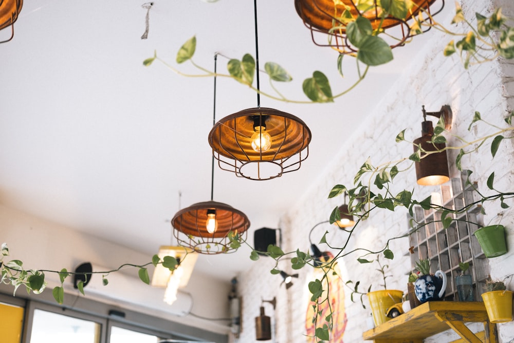 a bunch of plants that are hanging from a ceiling