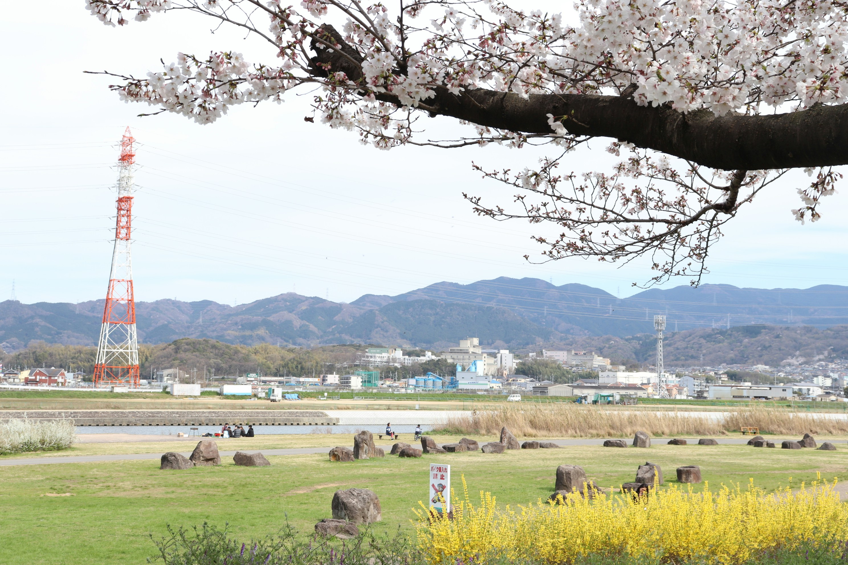箕形9号公園