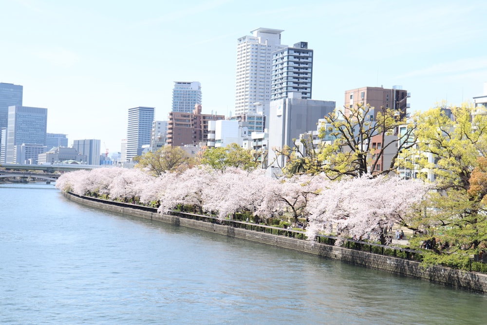 a body of water surrounded by tall buildings