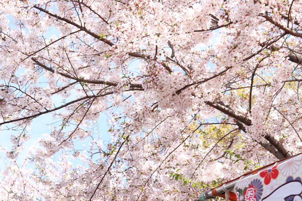 a banner hanging from the side of a tree