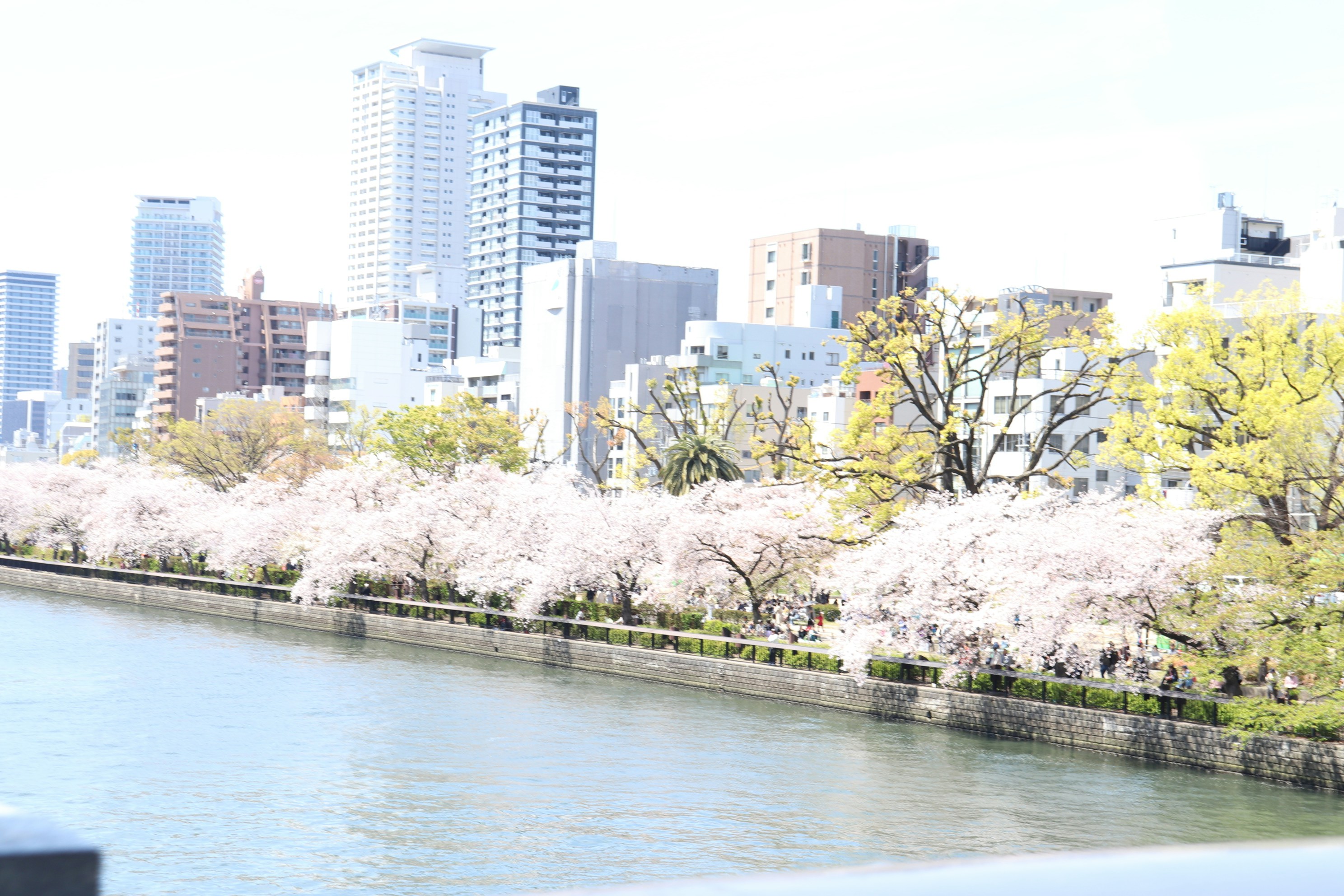 Photo by saitousai
