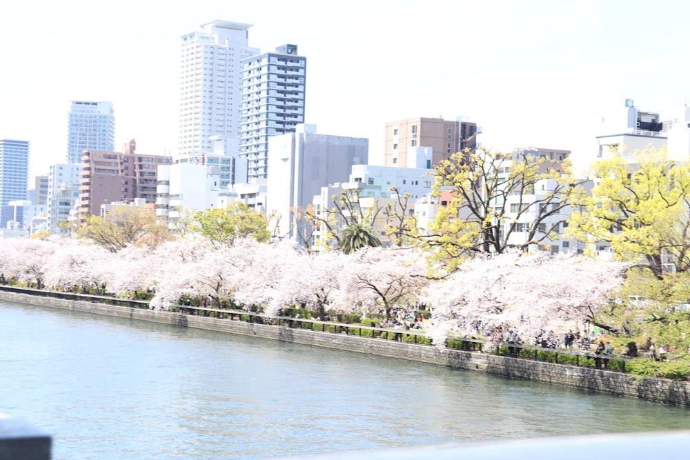 a body of water surrounded by tall buildings