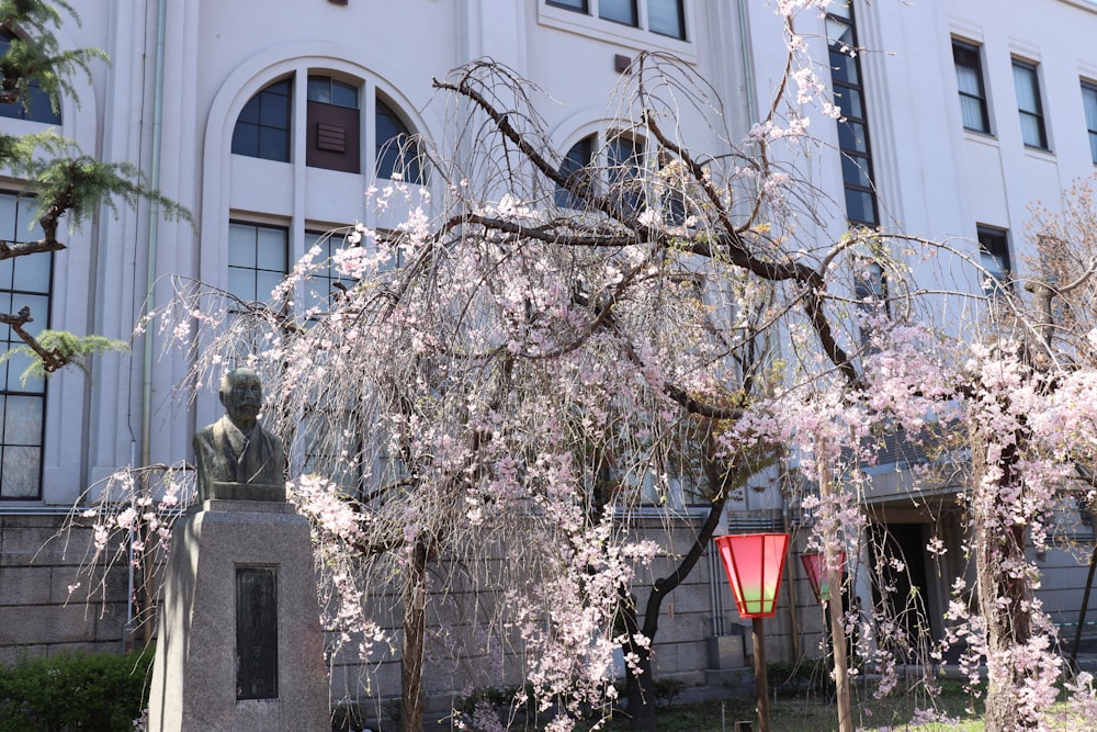 Una estatua frente a un edificio con flores de cerezo