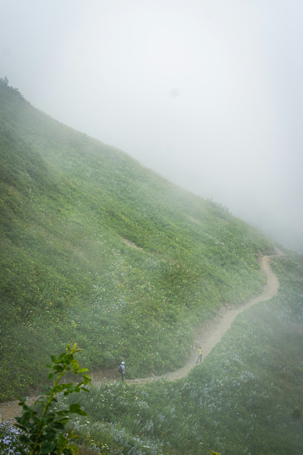 a couple of people walking up a hill on a foggy day