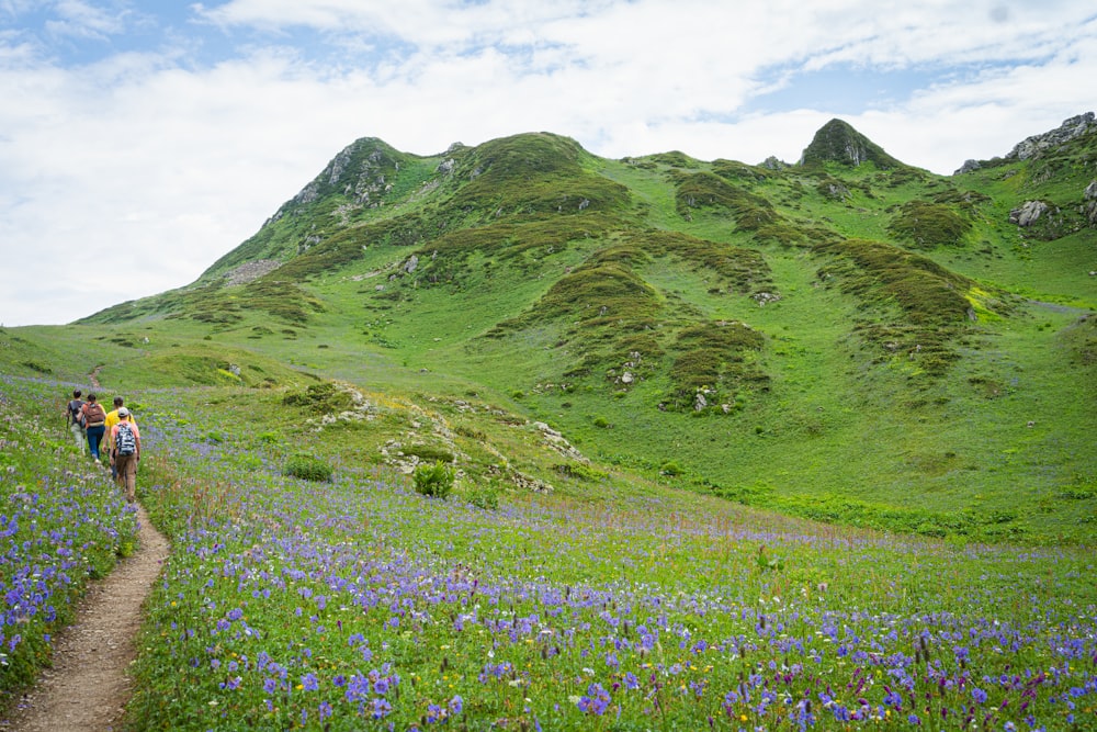 a group of people hiking up a hill