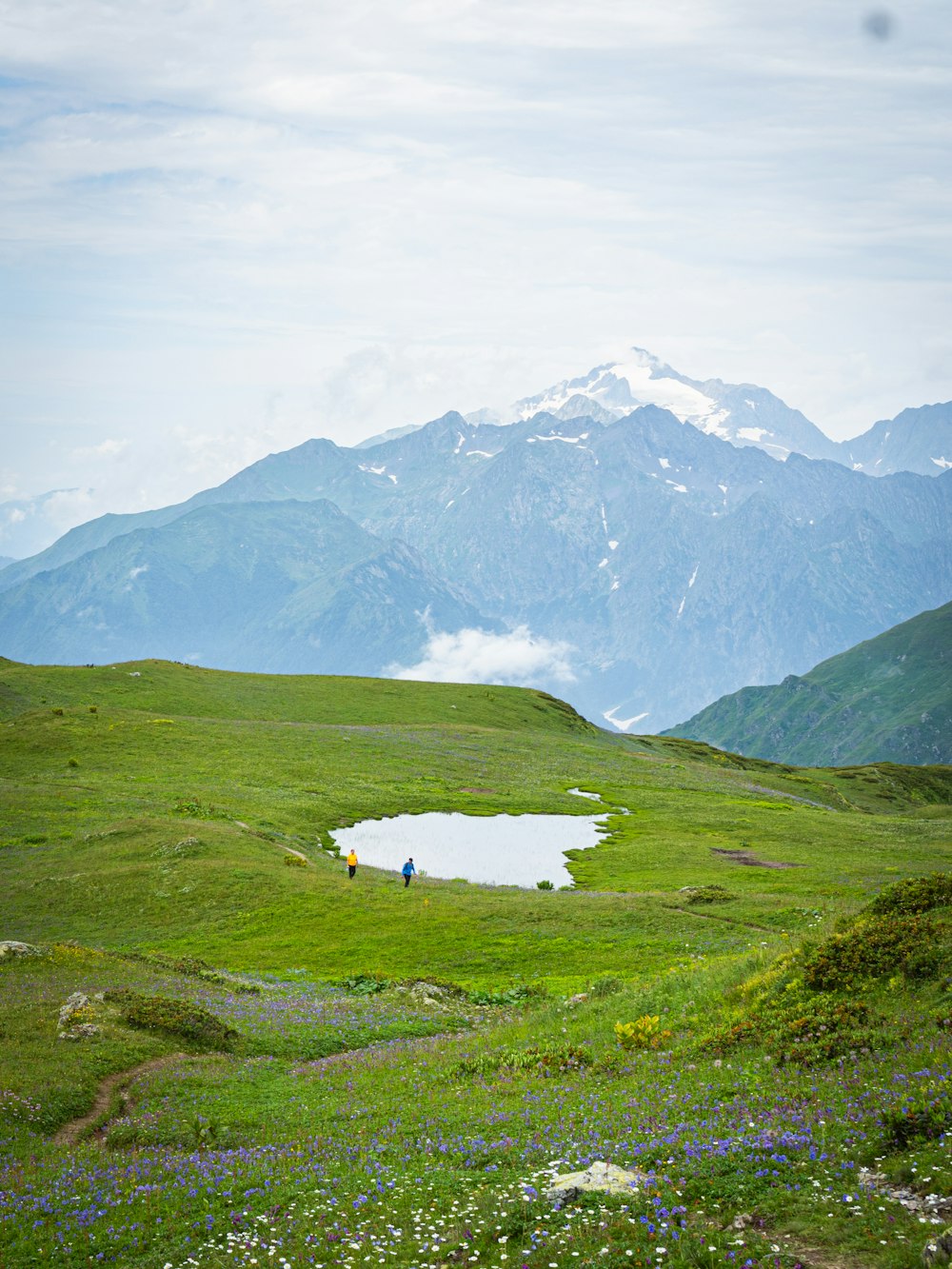 a couple of people walking across a lush green field