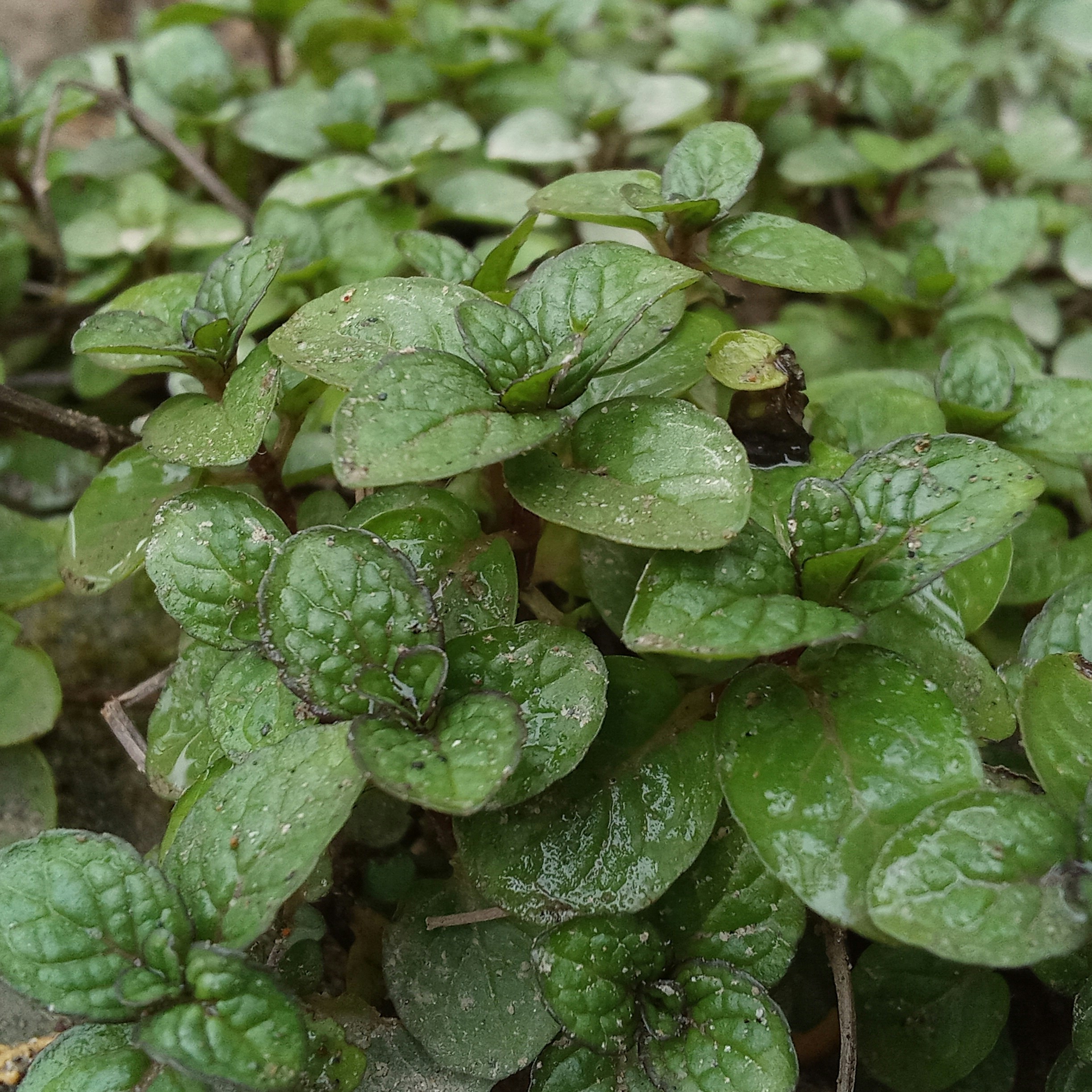 Photo by mohsinalee5099