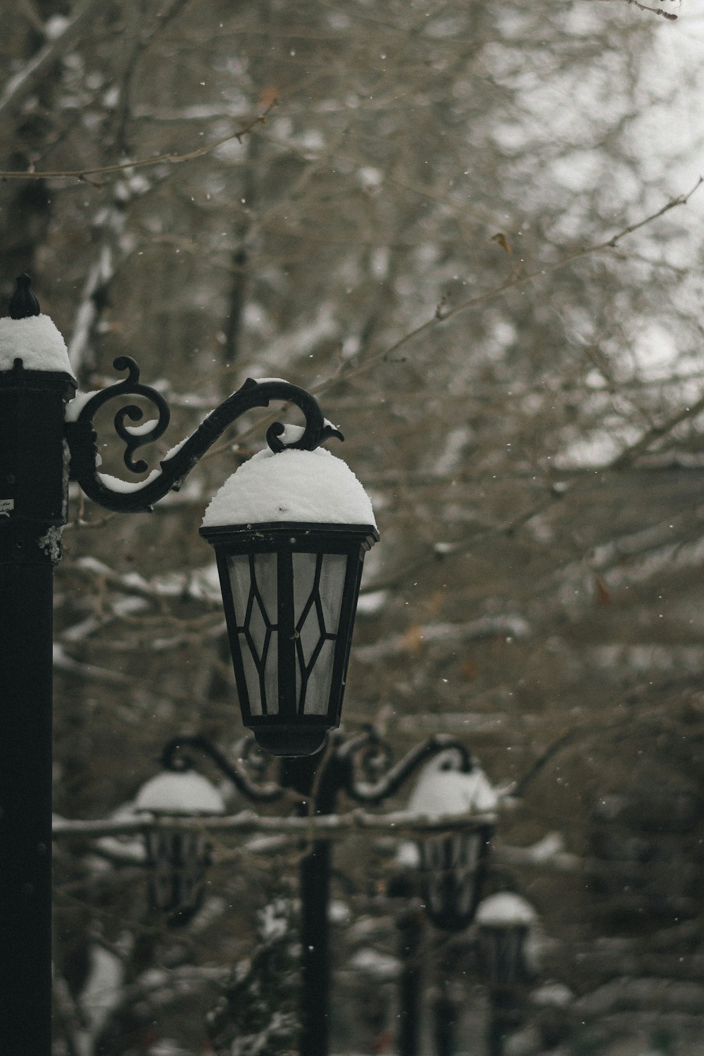 a street light covered in snow next to a tree