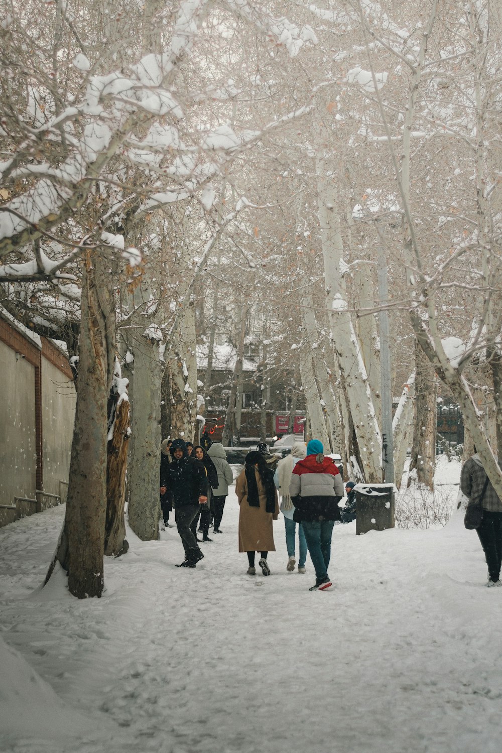 a group of people walking in the snow