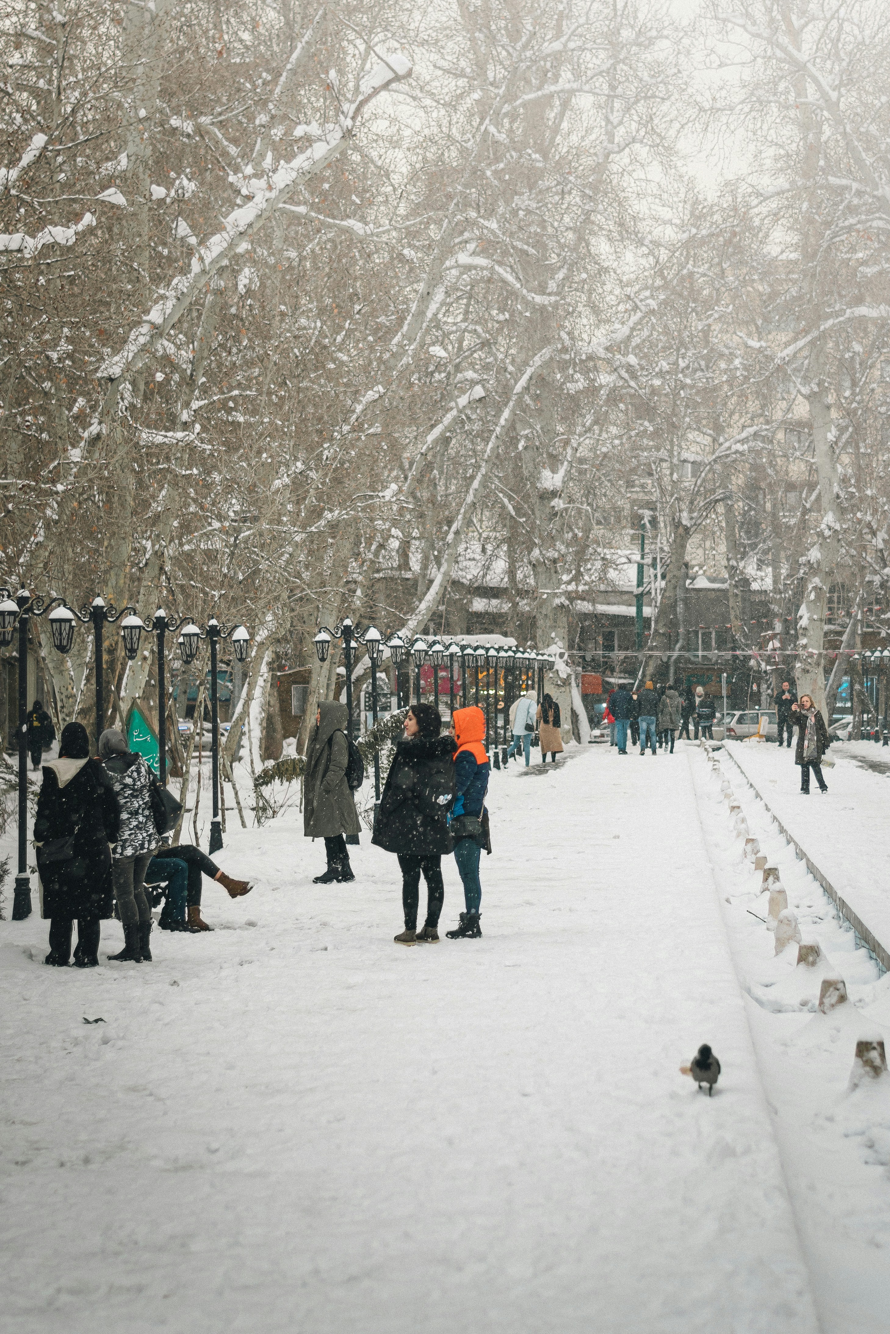 a group of people walking through a snow covered park