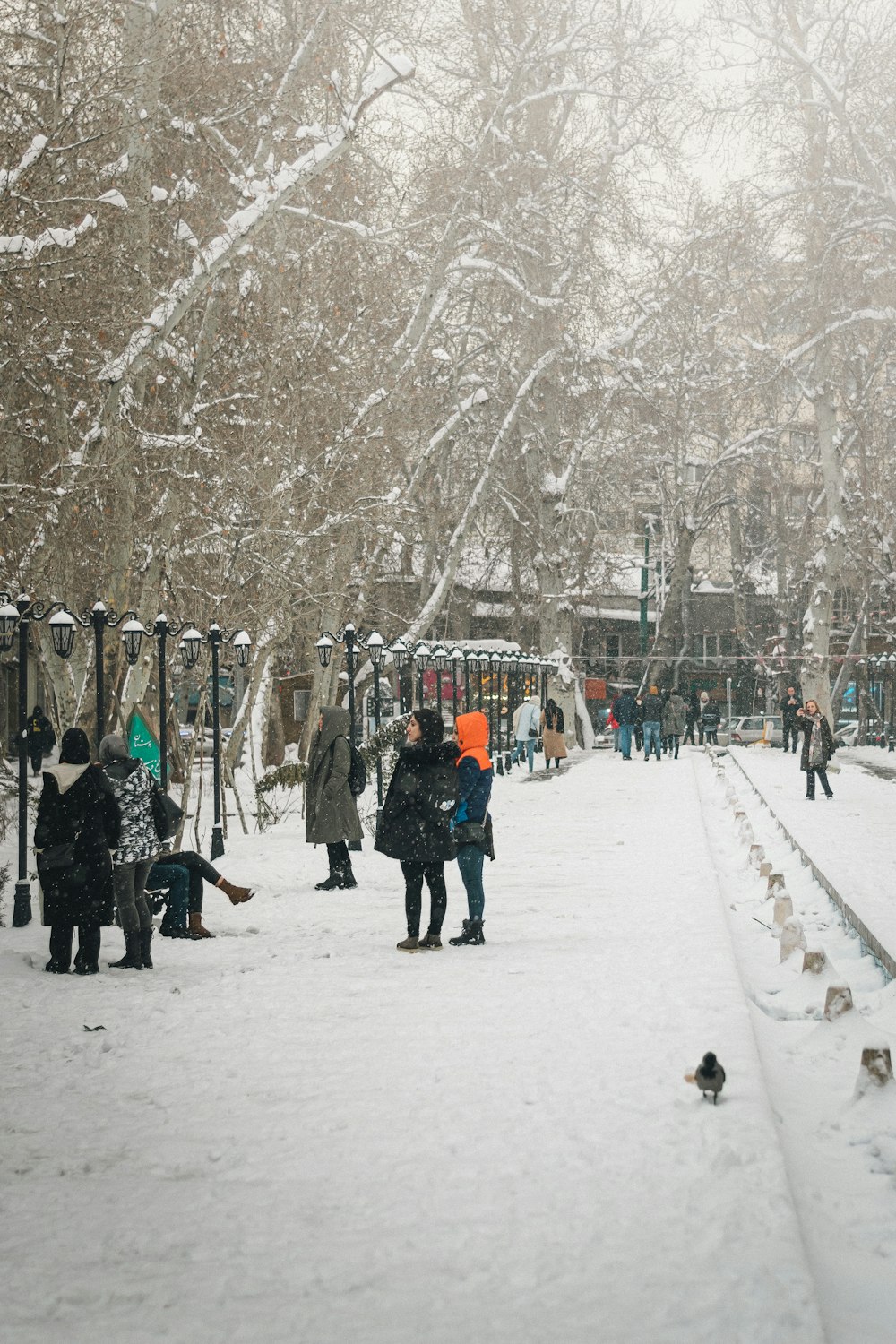 a group of people walking through a snow covered park