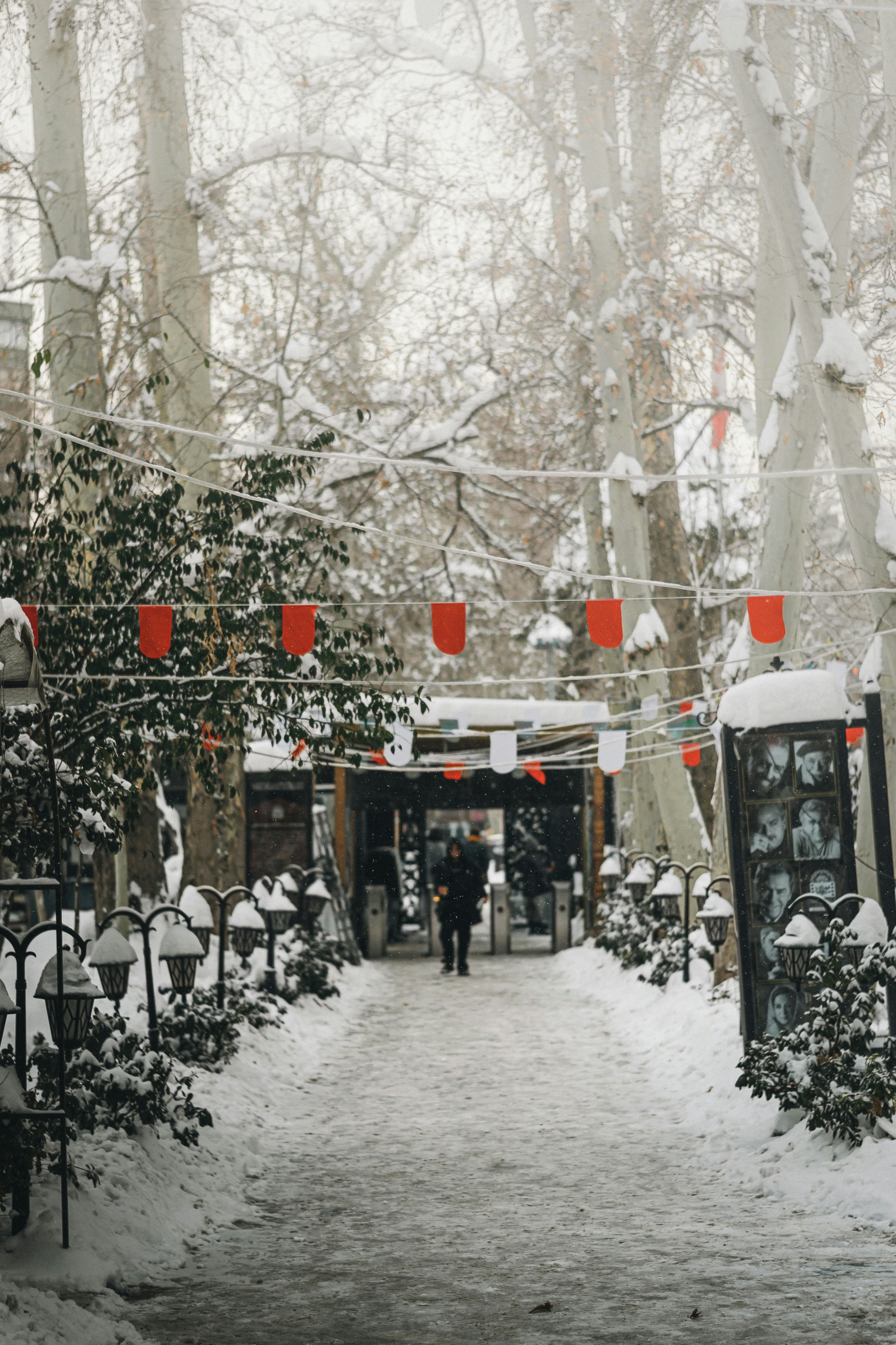 a person walking down a snow covered path