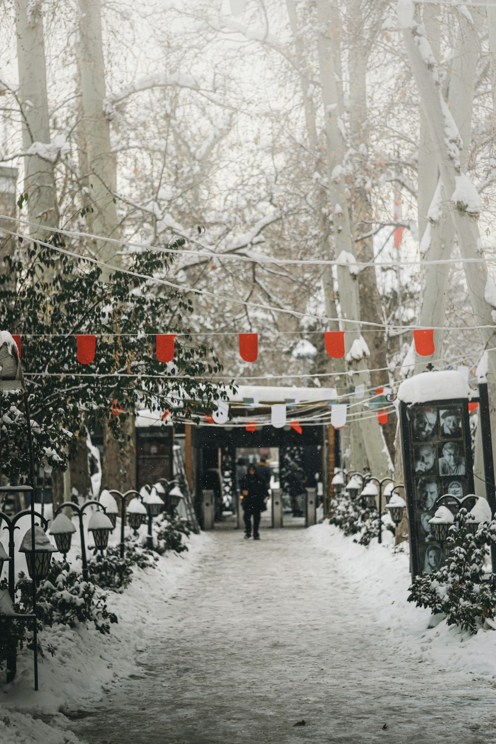 a person walking down a snow covered path